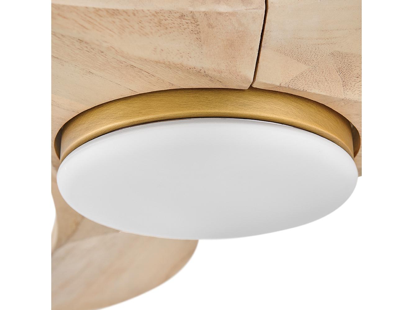 Hinkley Swell 56" Ceiling Fan