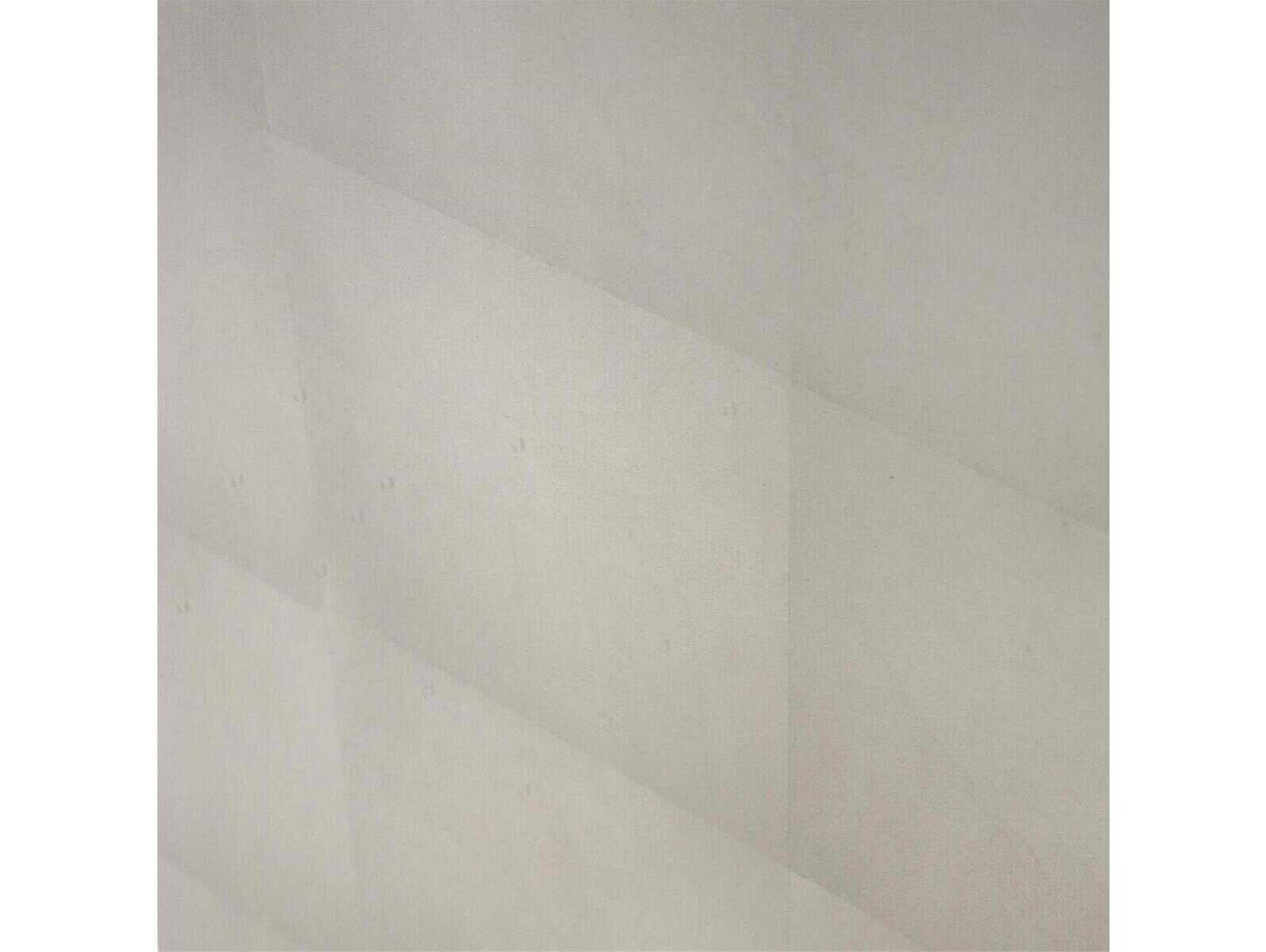 John Richard Shaye Rawson Spring Rain Silver Beech Wood Accent Chest