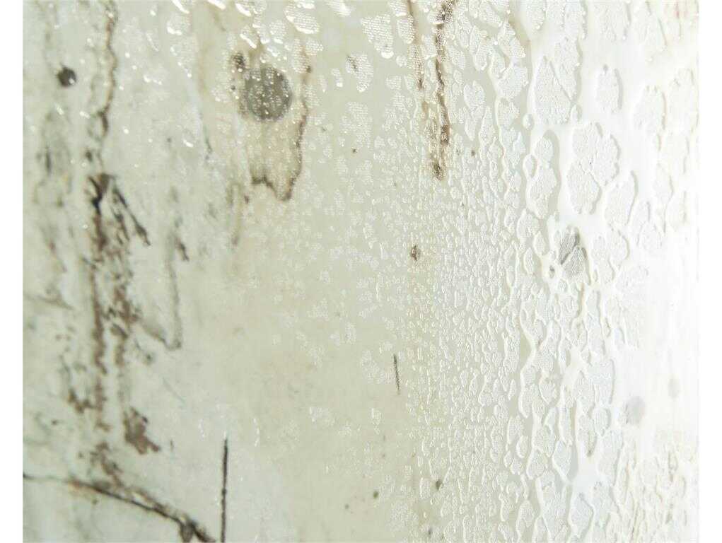 John Richard Mark McDowell's Gilded Ivory Canvas Wall Art