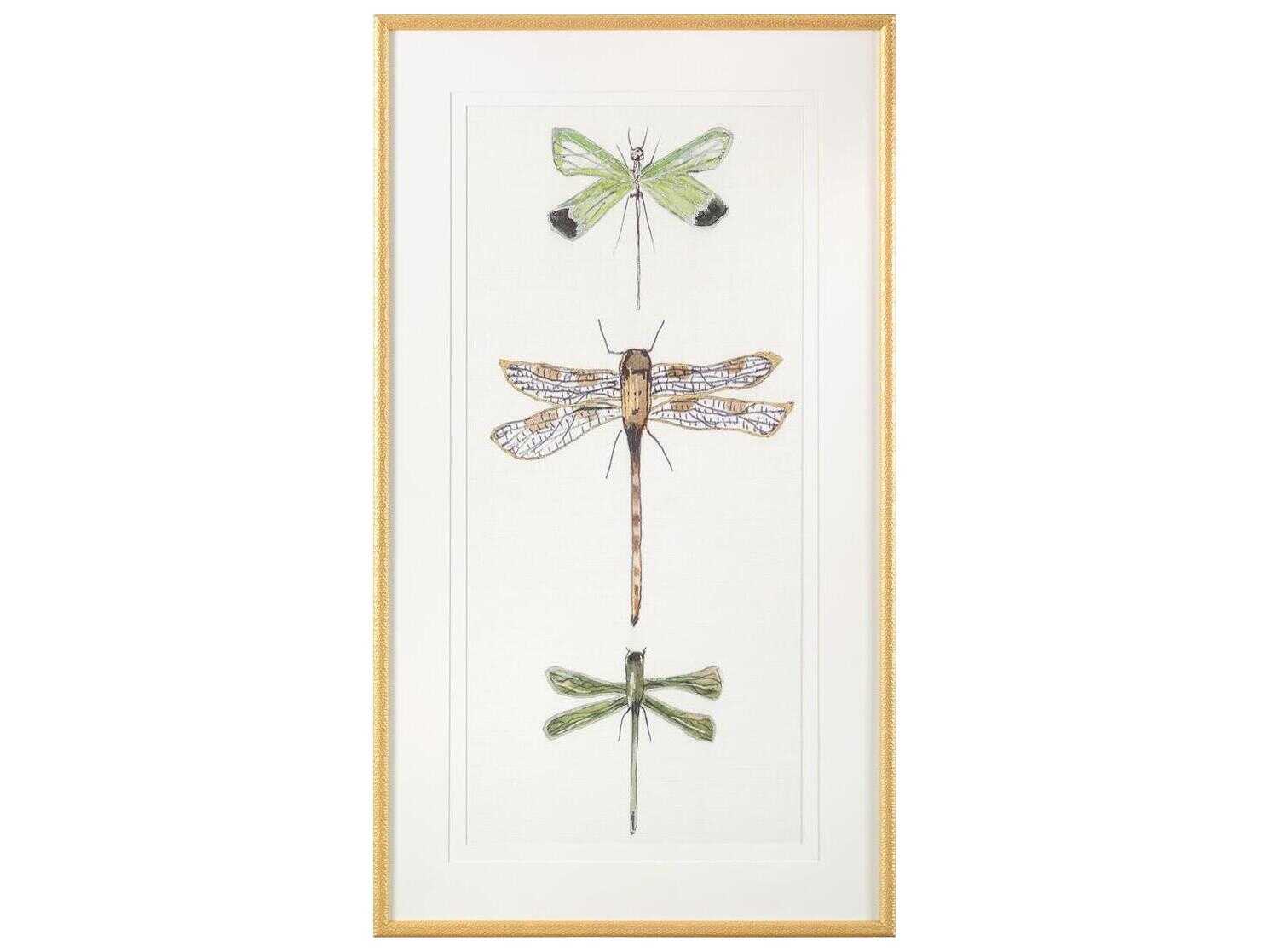 John Richard Joy Colangelo's Joyful Dragonflies-I Print / Painting