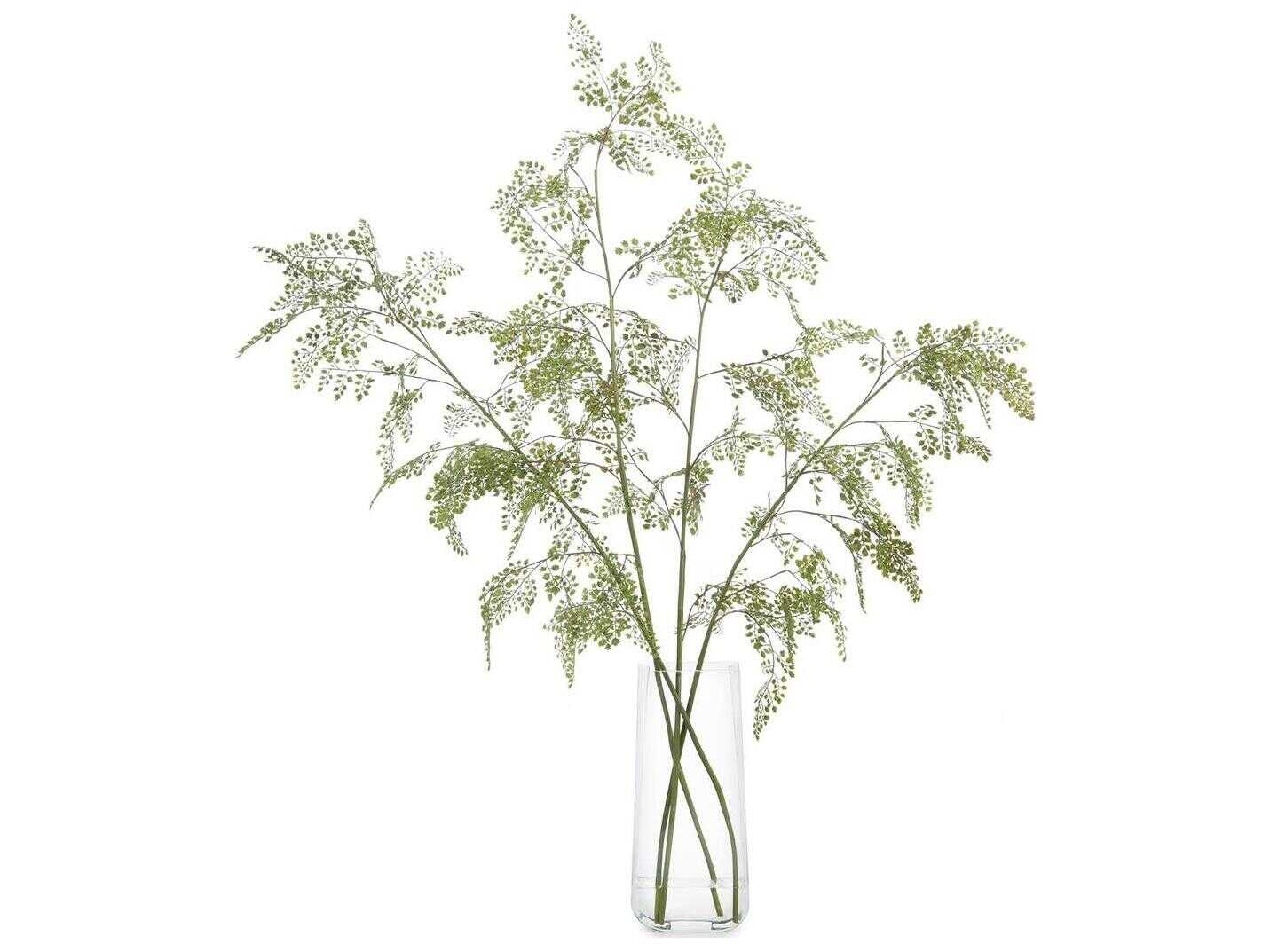 John Richard Aqua Fern