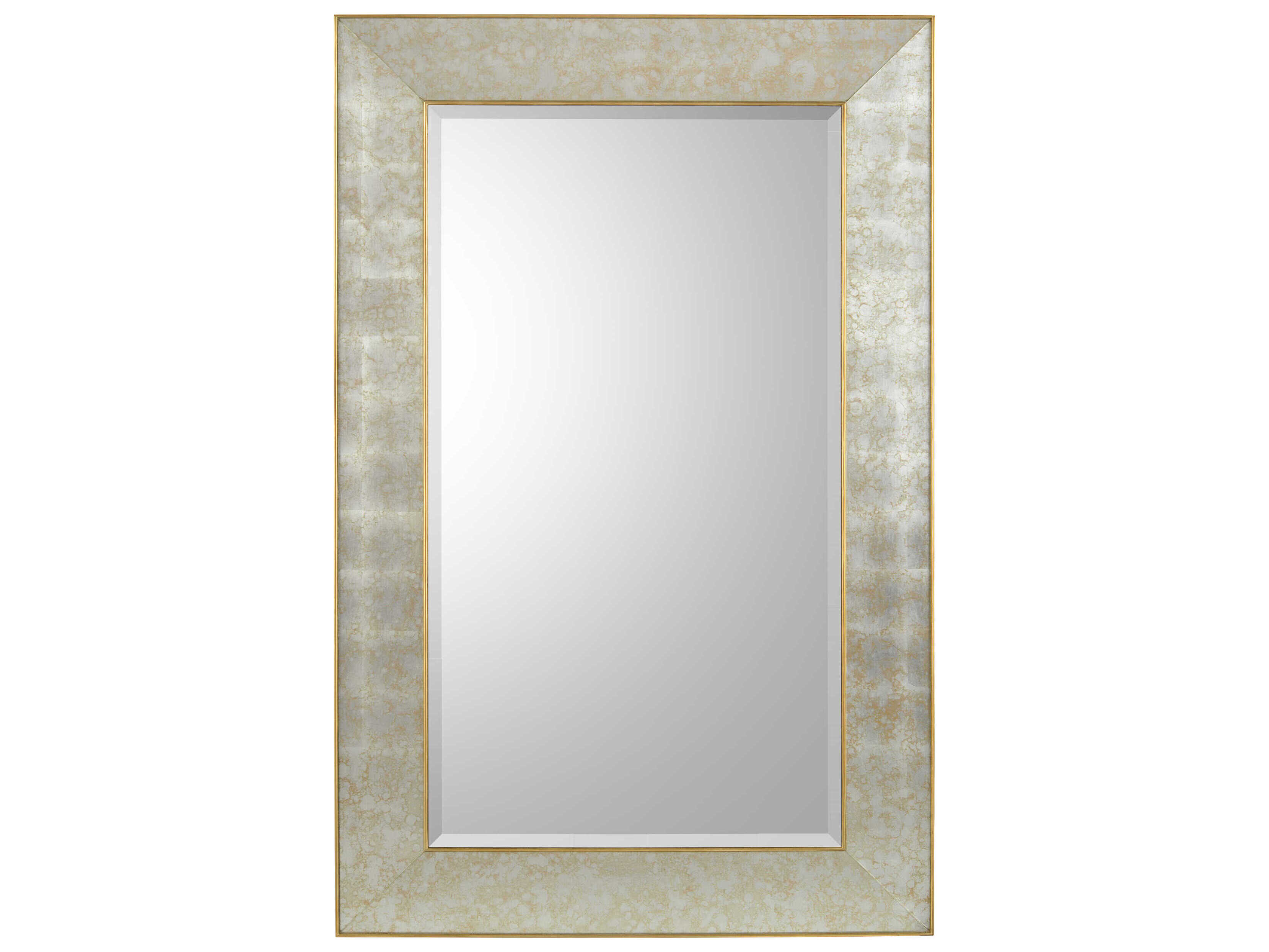 John Richard Adelaide Antique Champagne Rectangular Wall Mirror