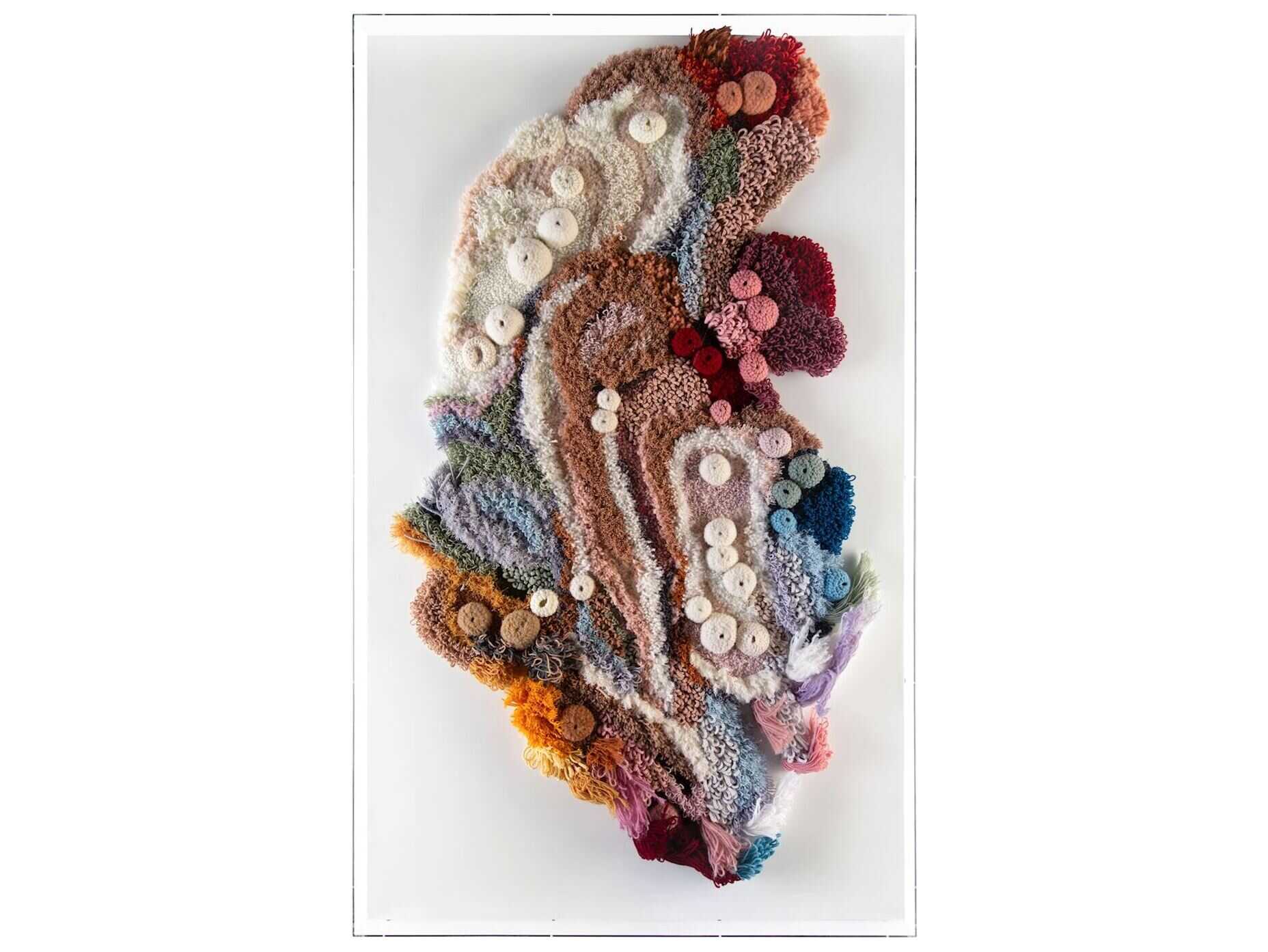 John Richard Tony Fey's Exotic Plumage Shadow Box