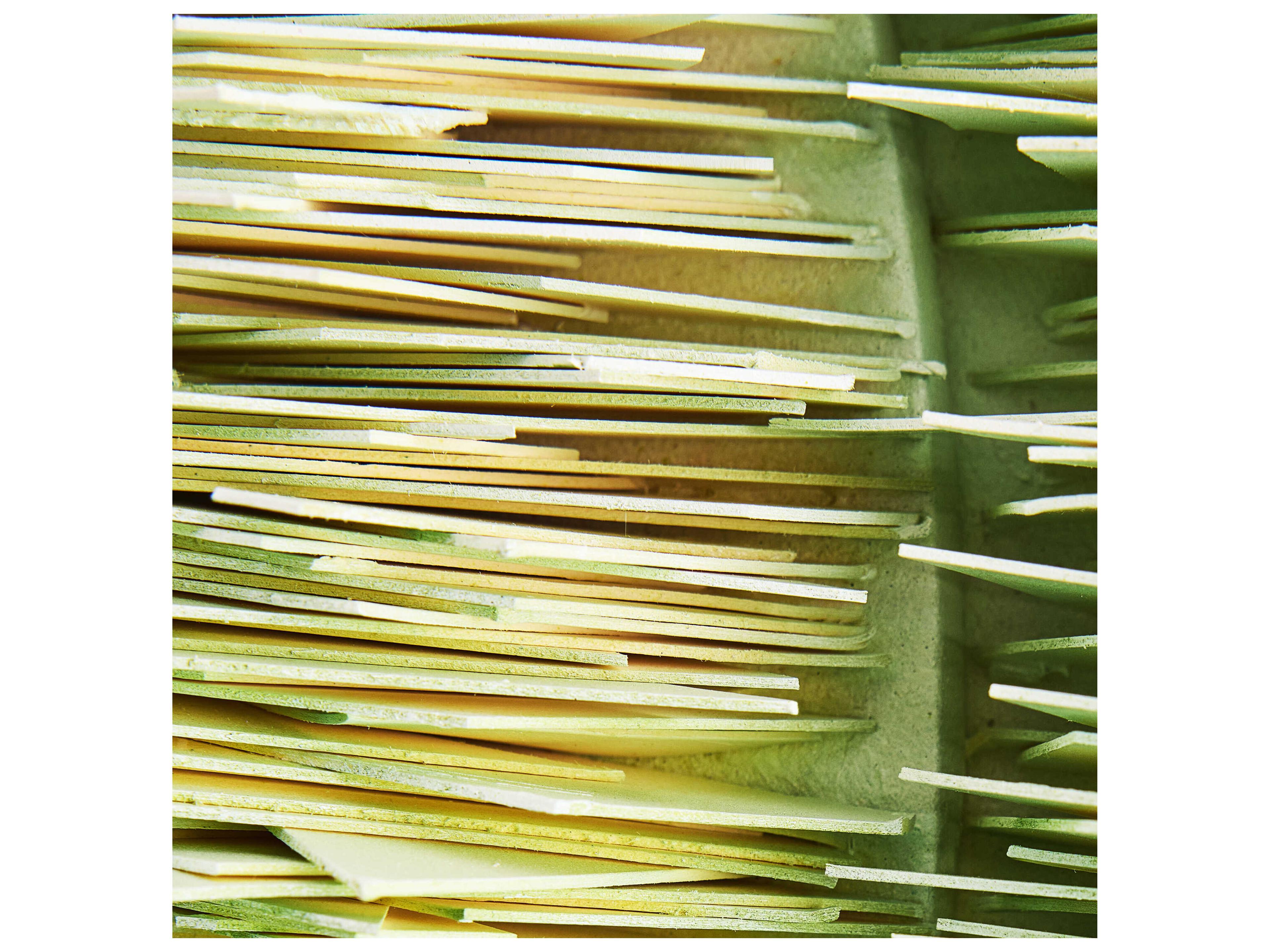 John Richard Tony Fey's Rejuvenation Wall Art