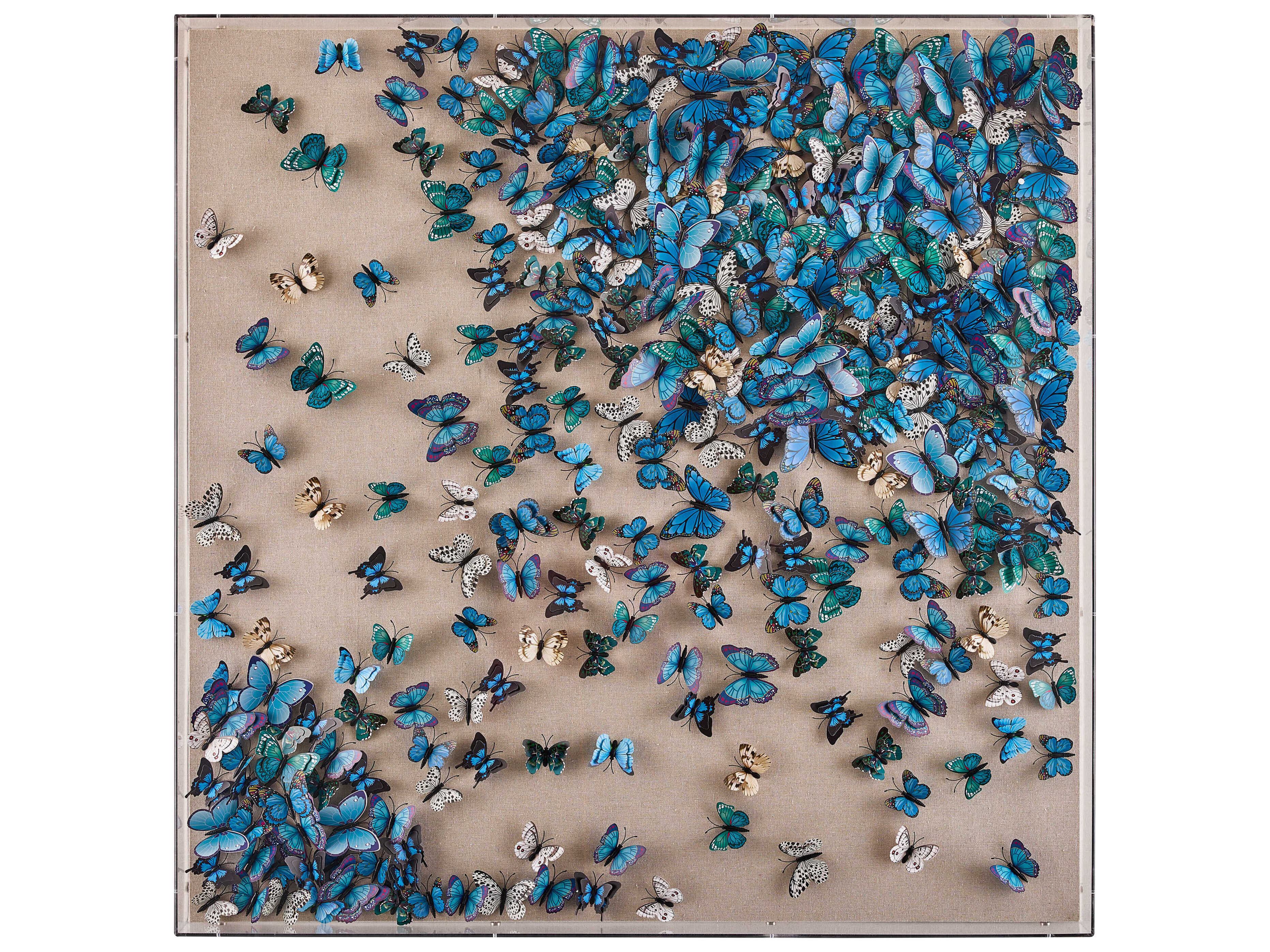 John Richard Tony Fey's Flight of the Butterflies Wall Art