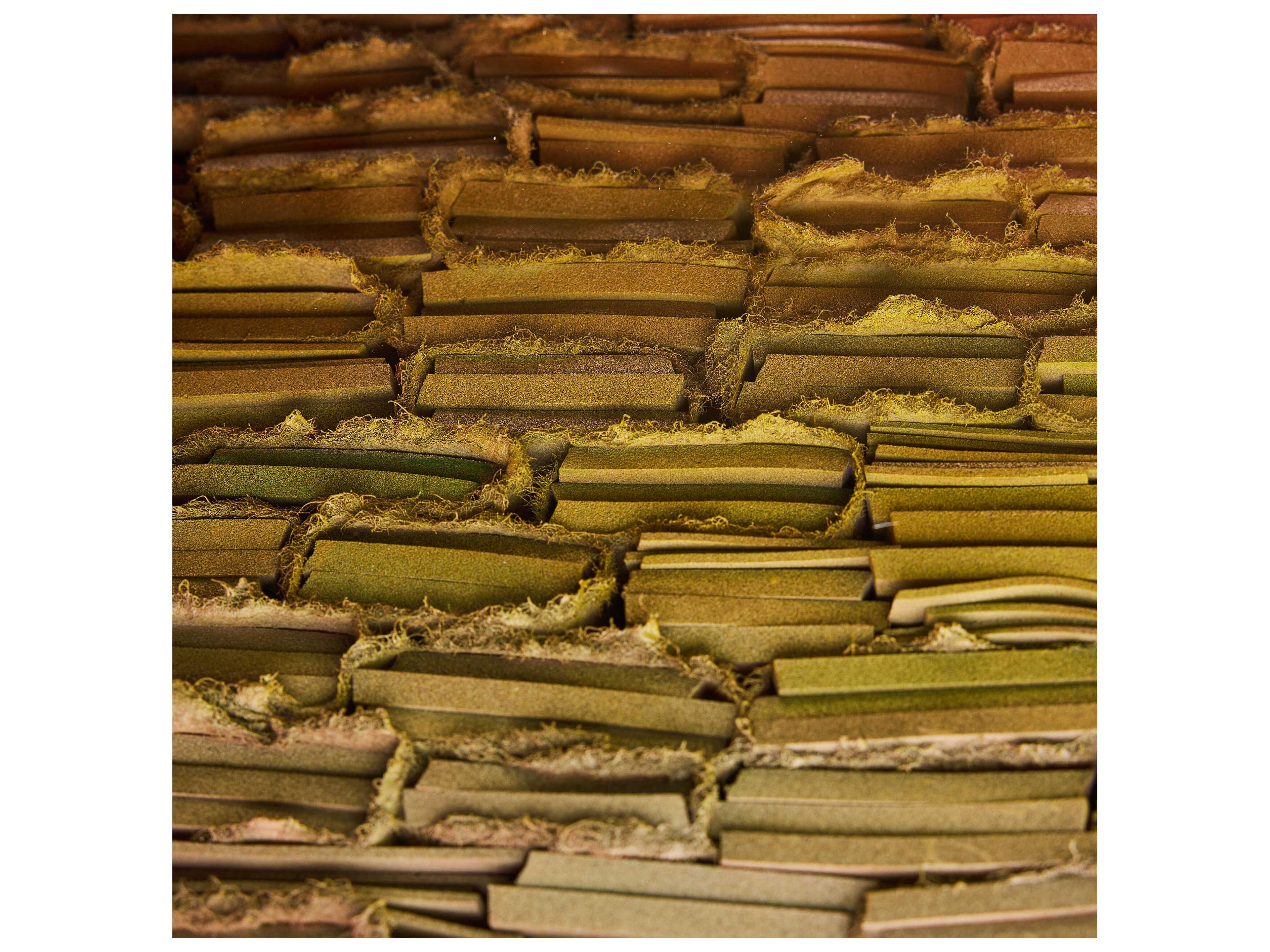 John Richard Tony Fey's Drifting Echoes Wall Art