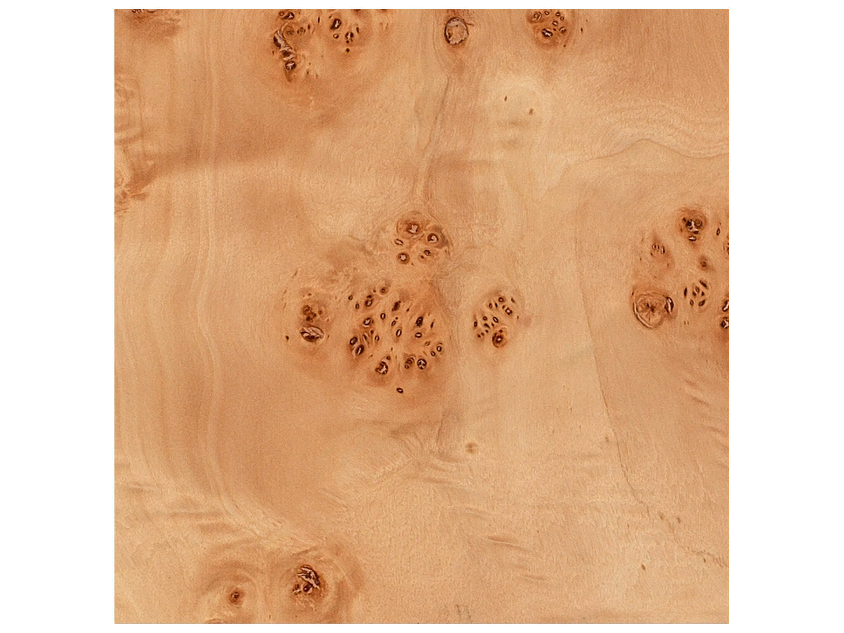 Jamie Young Parallel Natural Burl Wood Floor Lamp