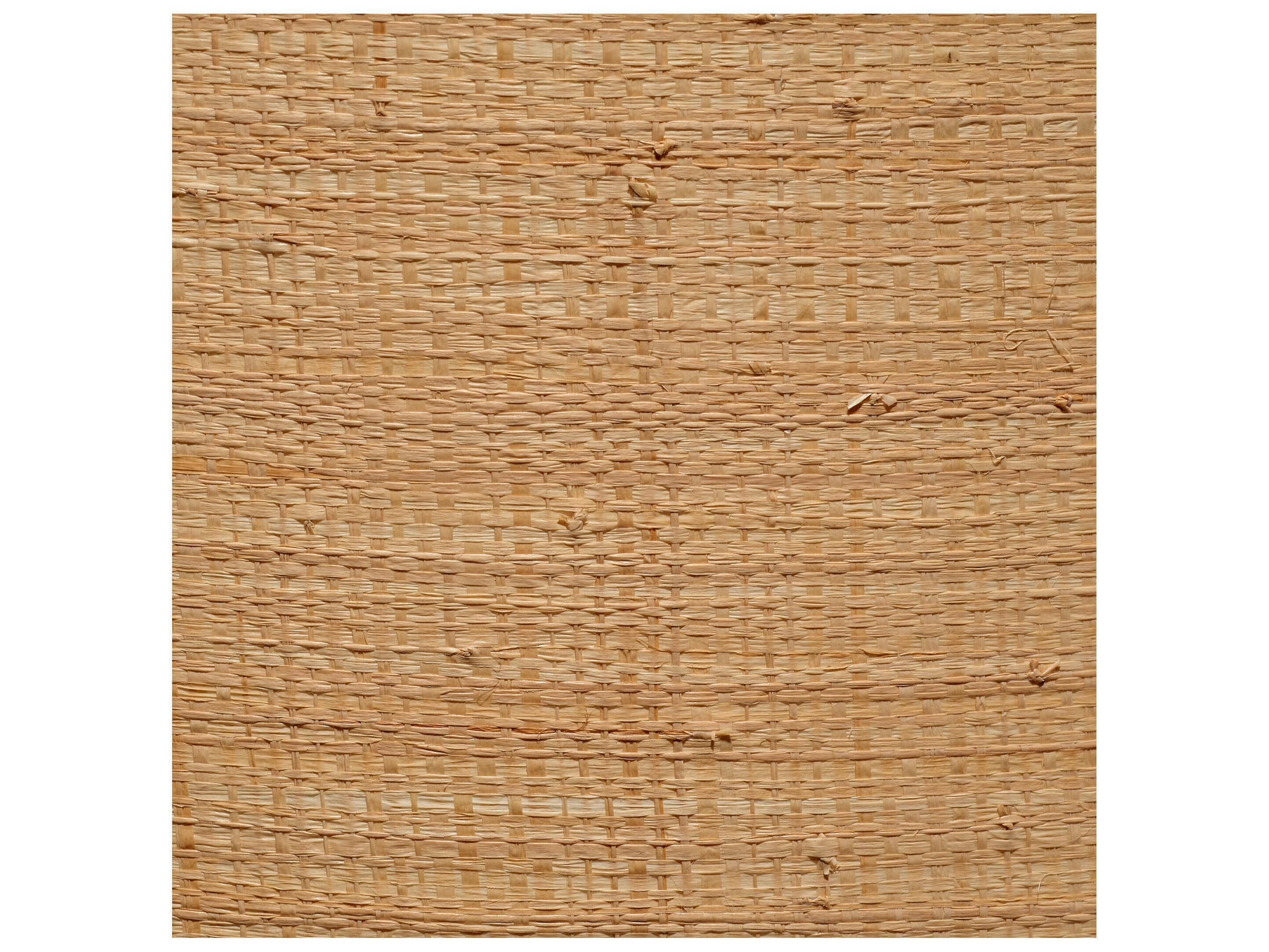 Jamie Young Drum Raffia Shade