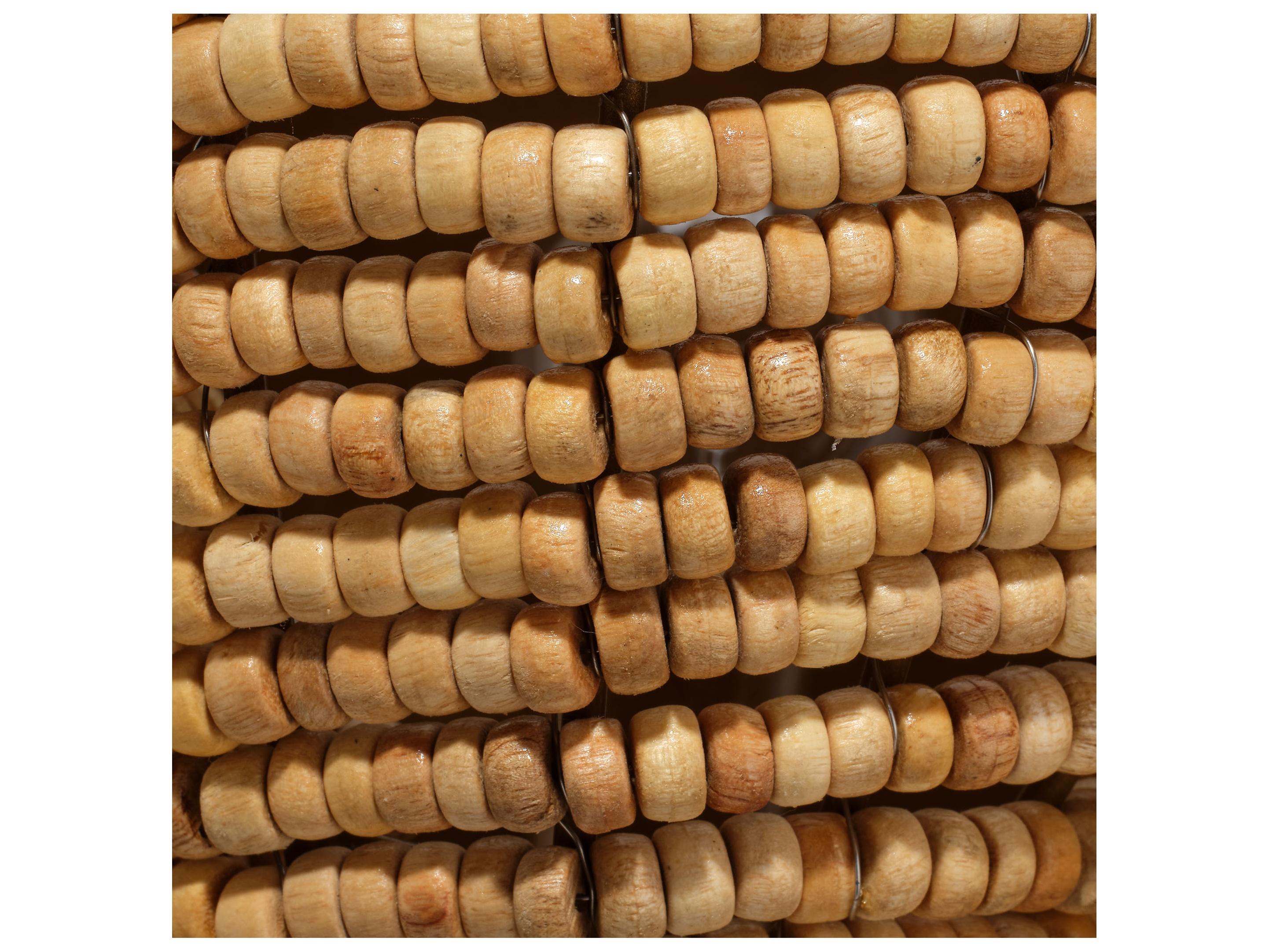 Jamie Young Anguilla 1-Light Brown Wall Sconce