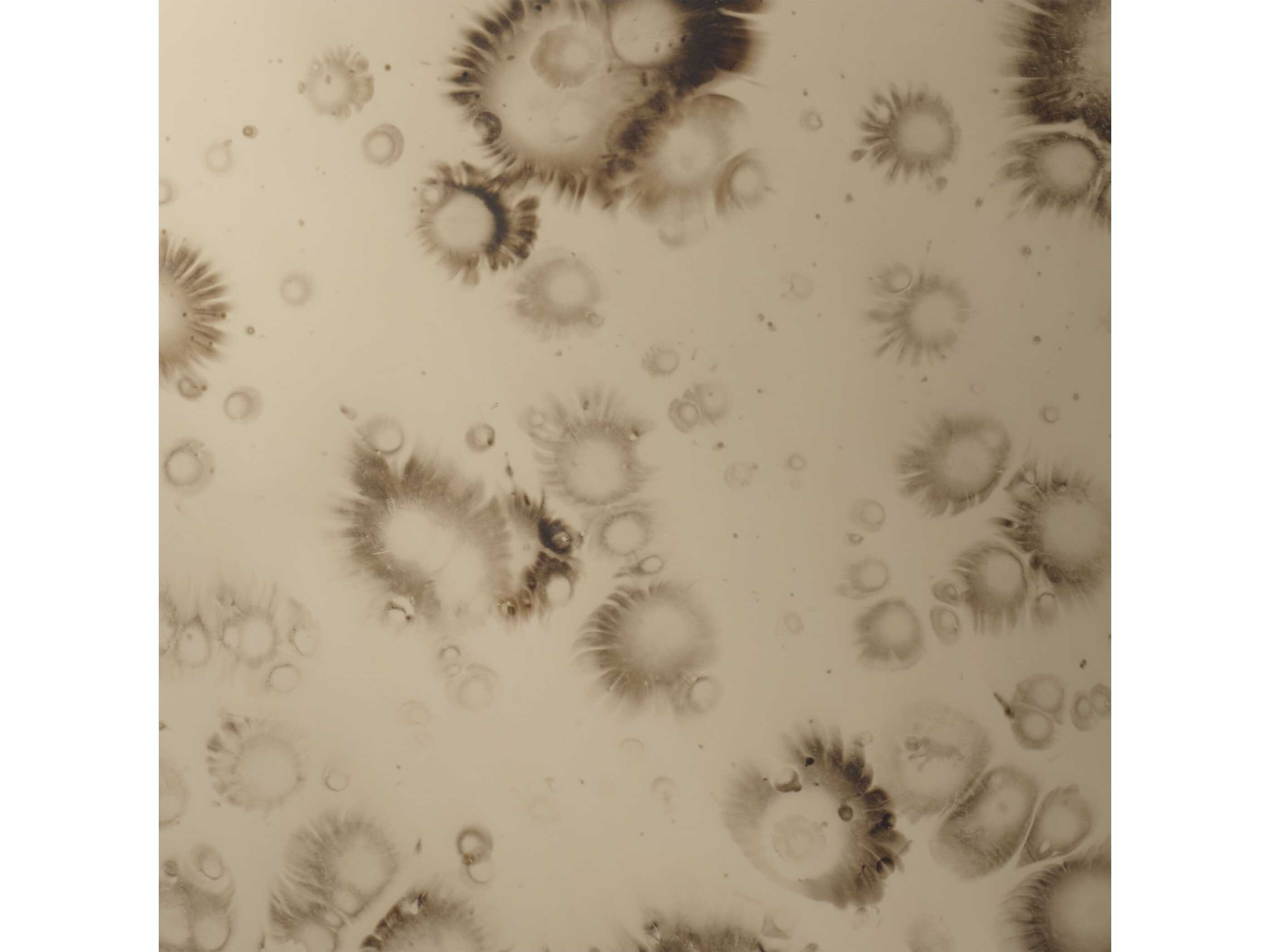 Jamie Young Chambord Antique Brass Wall Mirror Round