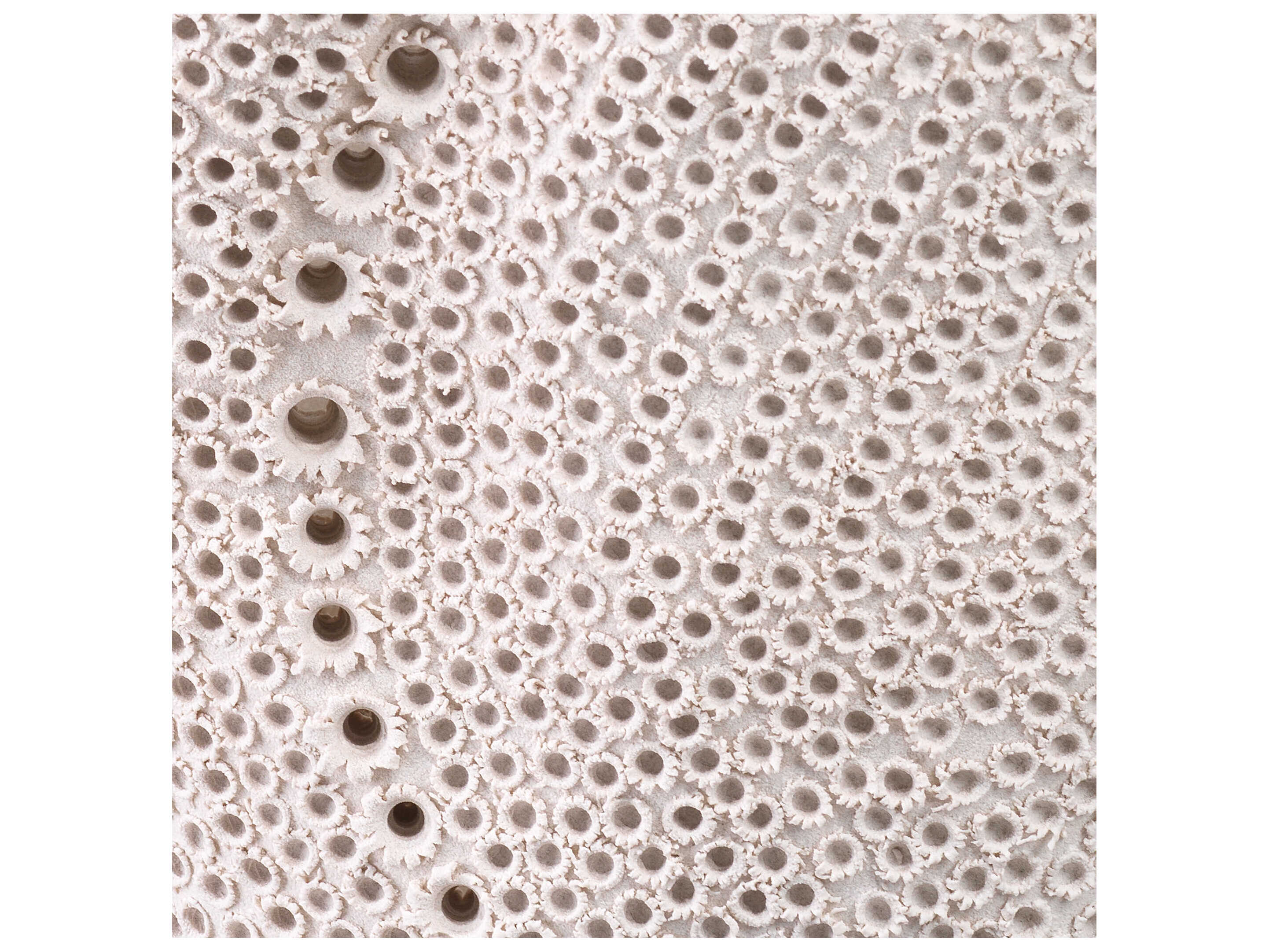 Jamie Young Eclipse Matte White Porcelain Vase