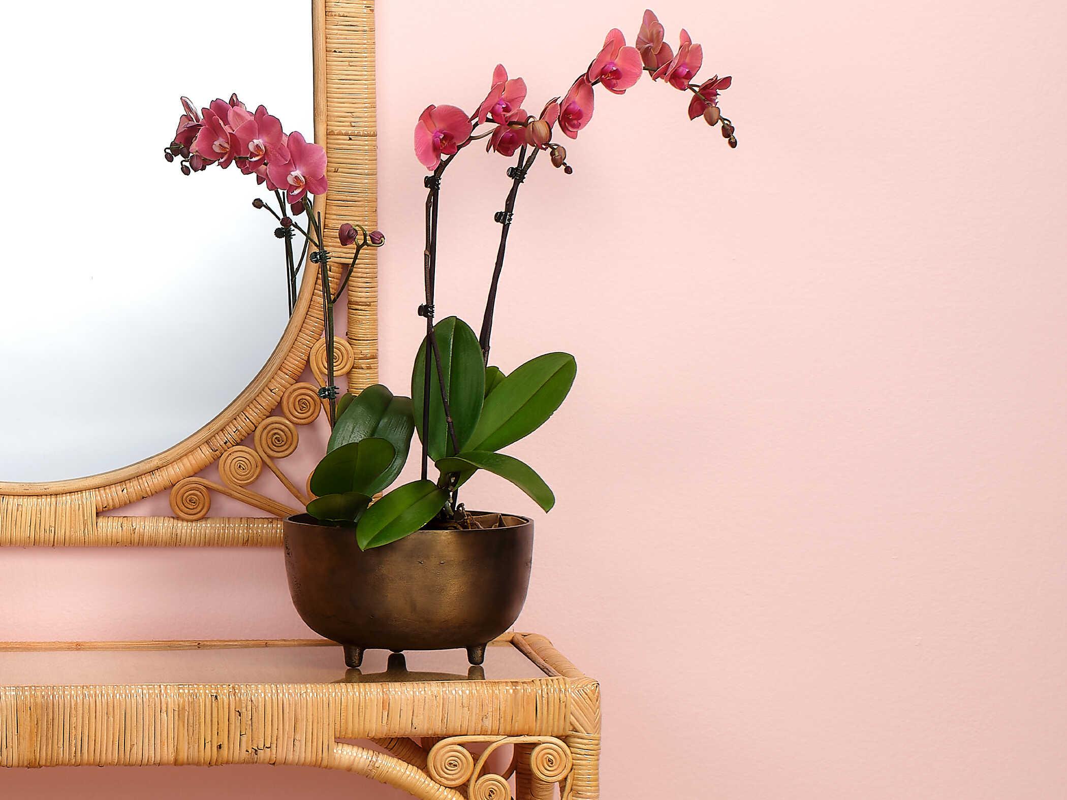Jamie Young Antique Brass 10" Relic Footed Decorative Bowl