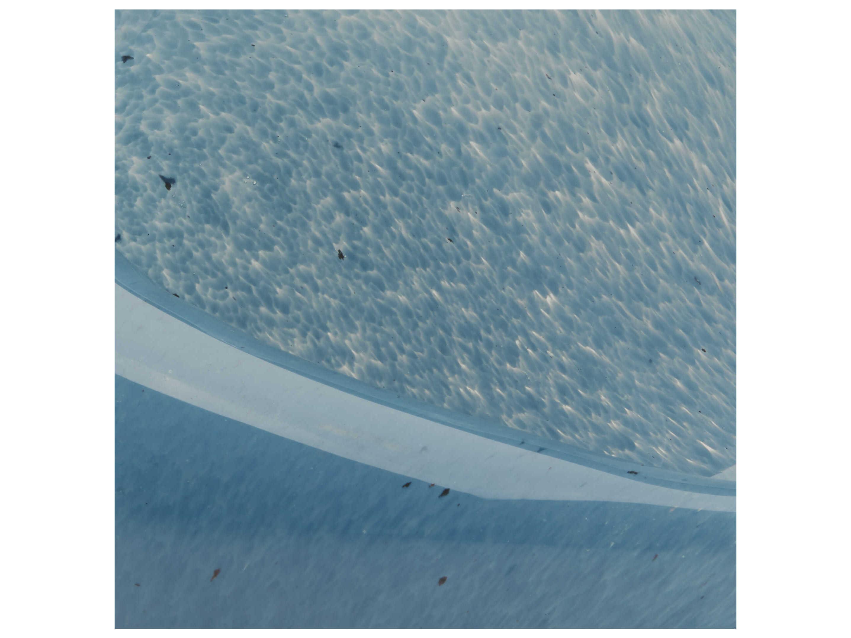 Jamie Young Blue Triton Shell