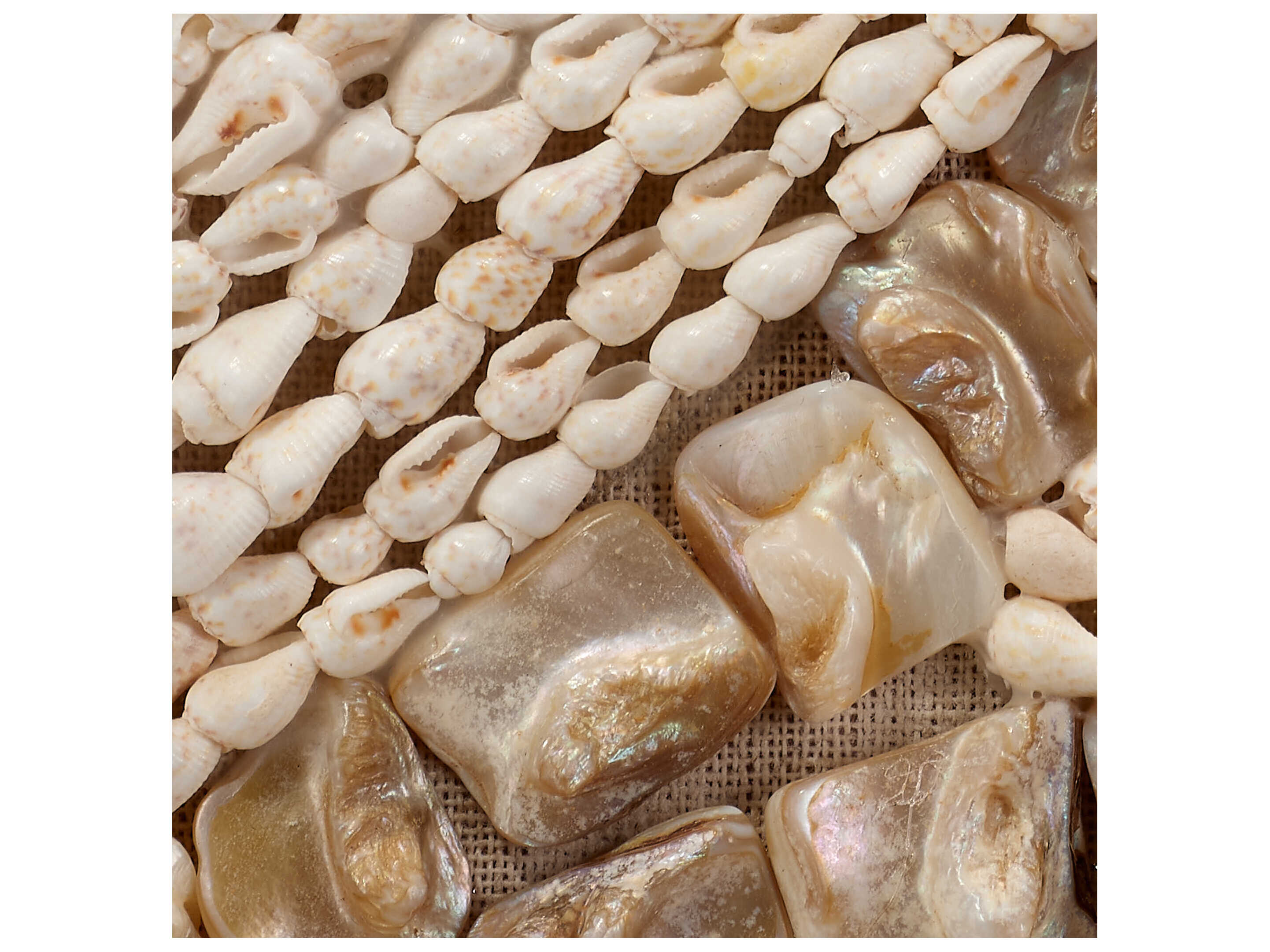 Jamie Young Natural / Off-White Wave Shell Shadow boxes