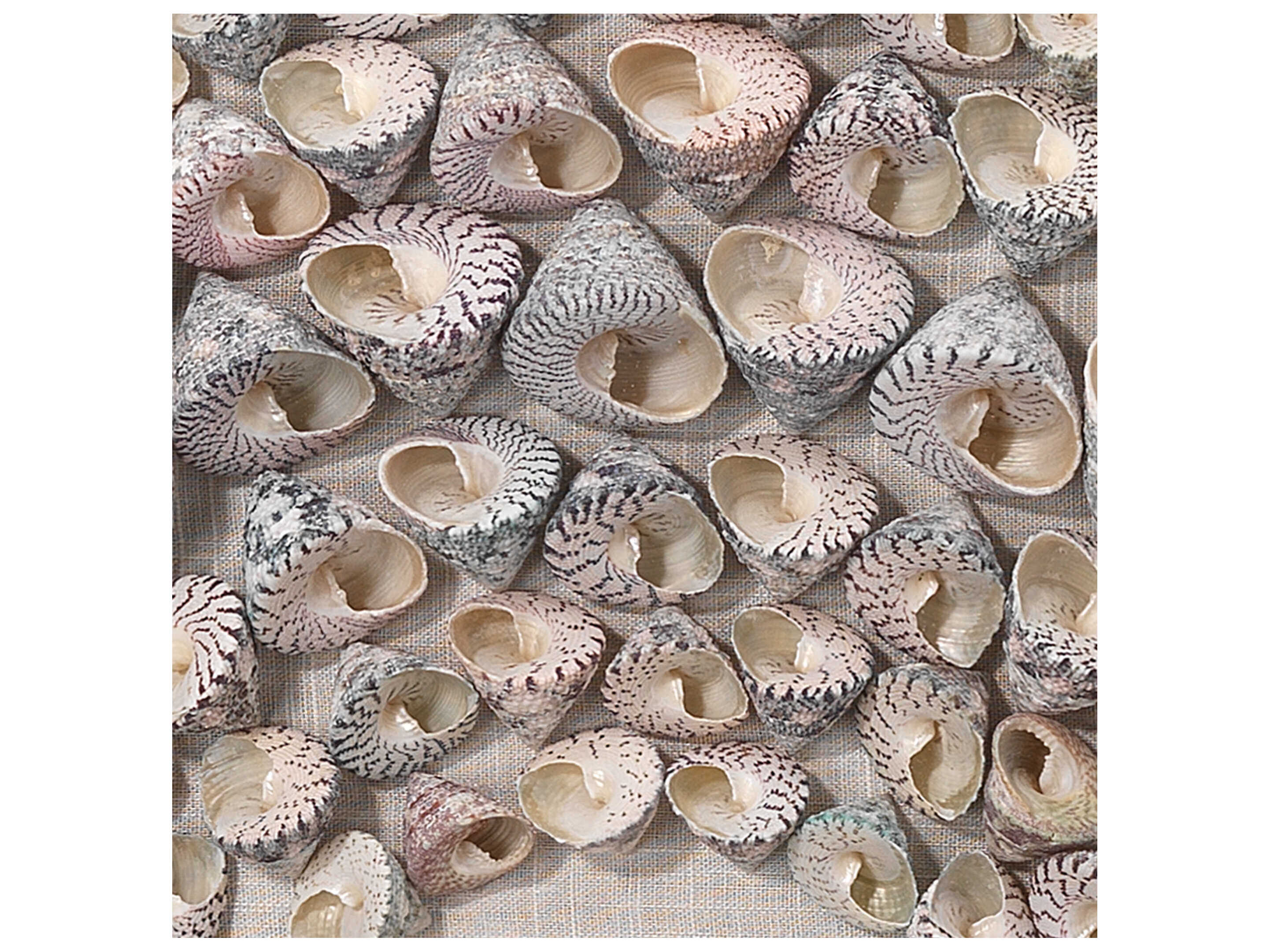 Jamie Young 3D Wall Art