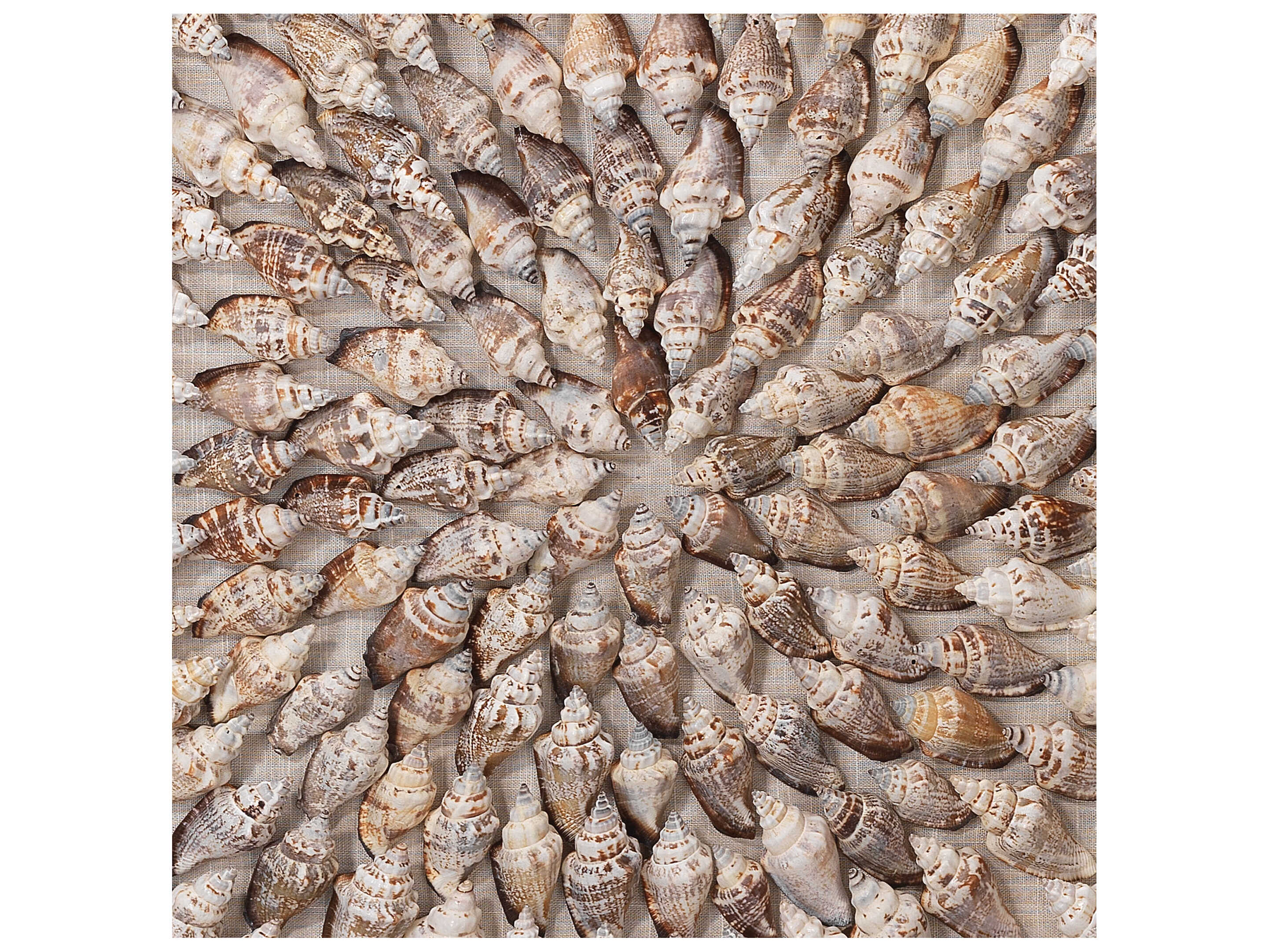 Jamie Young Shadow boxes