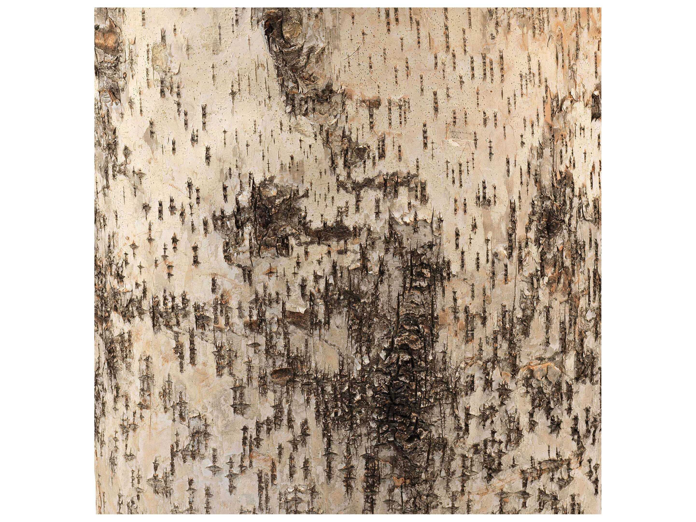 Jamie Young Forrester Birch Veneer Brown Buffet Lamp