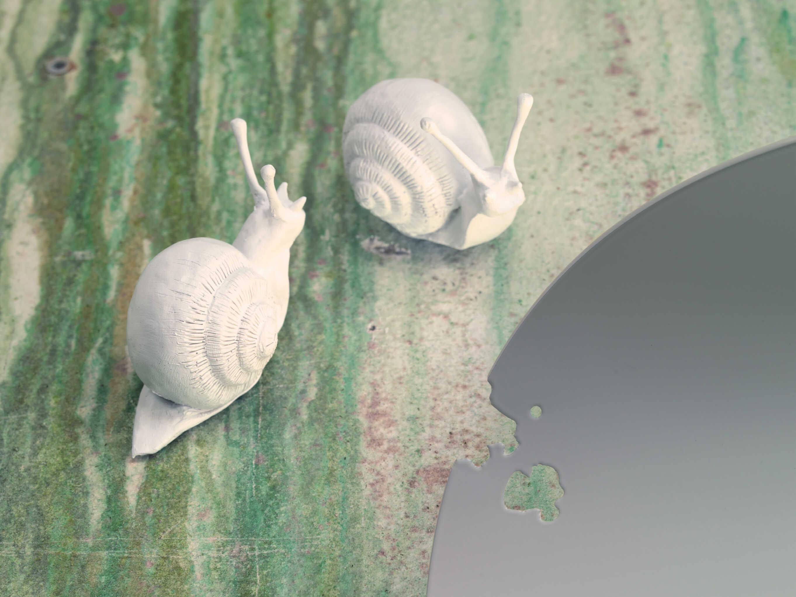 Karman Va Lentina Snail Accessory