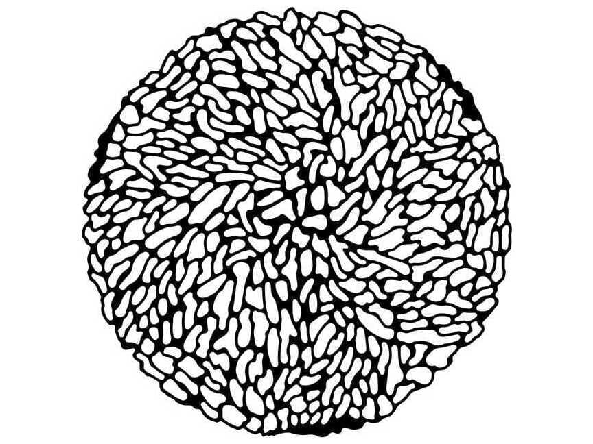 Kartell T-table Round Plastic Black End Table