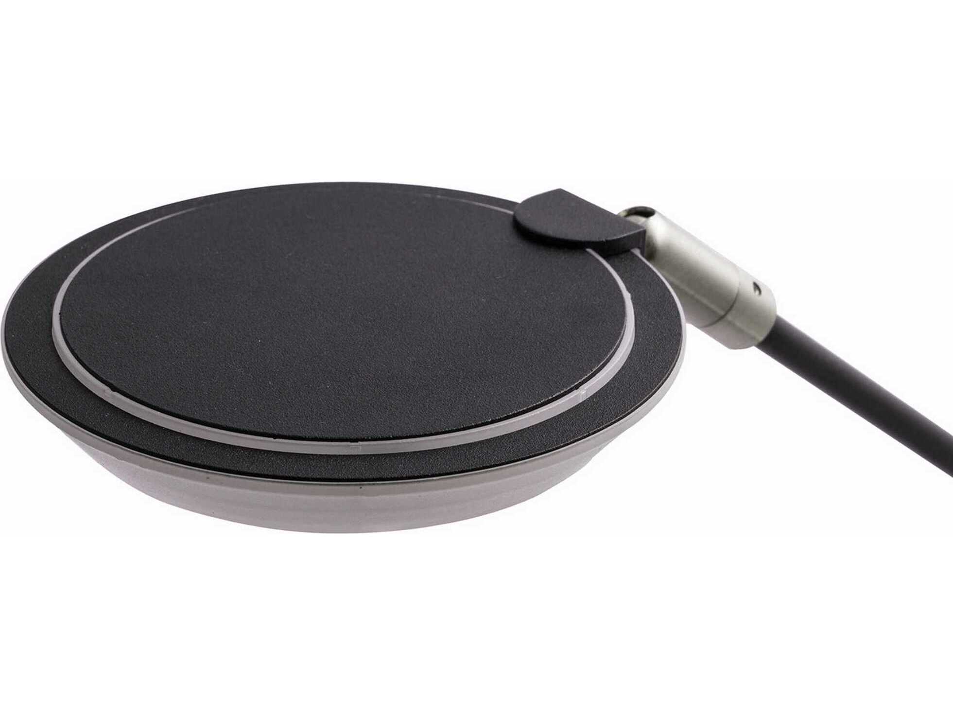 Kendal Iggy Black LED Desk Lamp