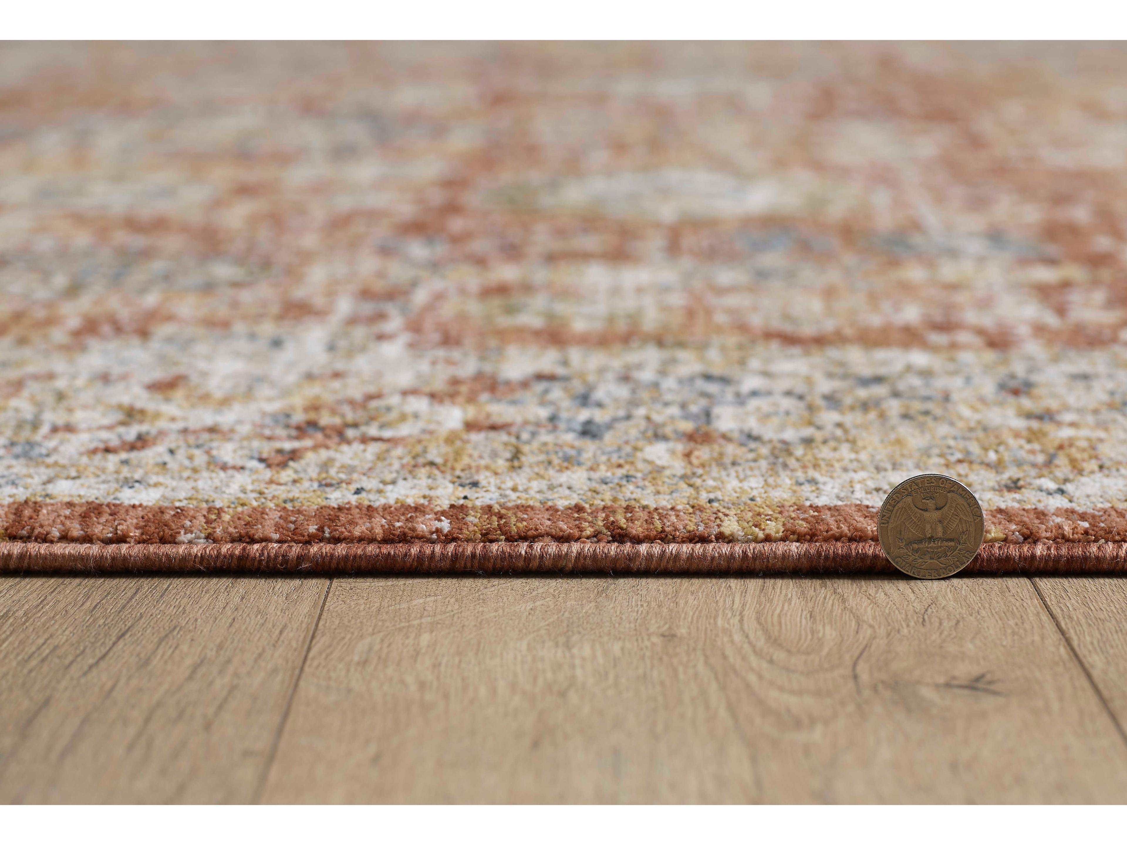 KAS Avani Bordered Area Rug