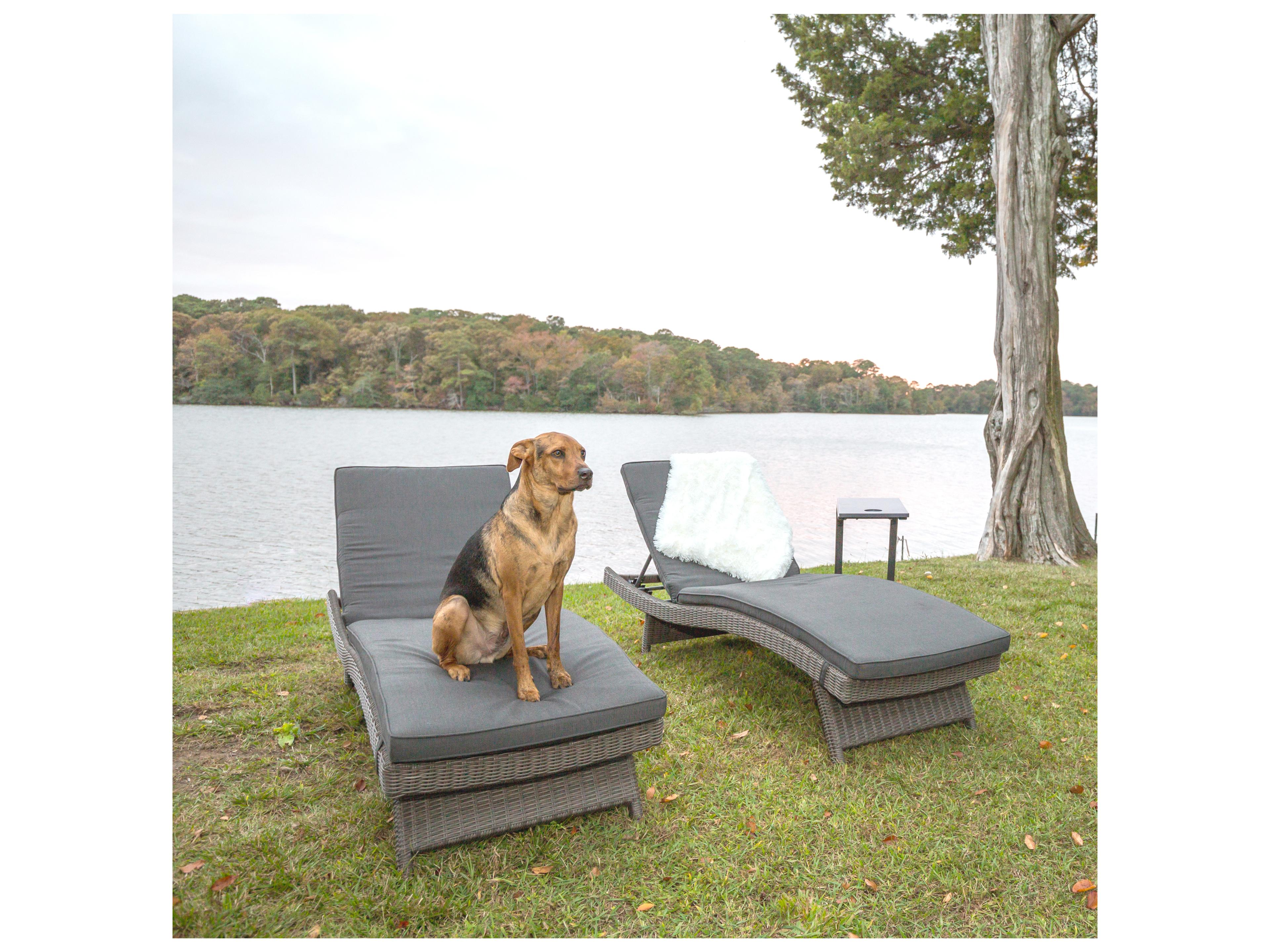 Kettler Palma Wicker Multi-Position Outdoor Chaise Lounge in Cast Ash