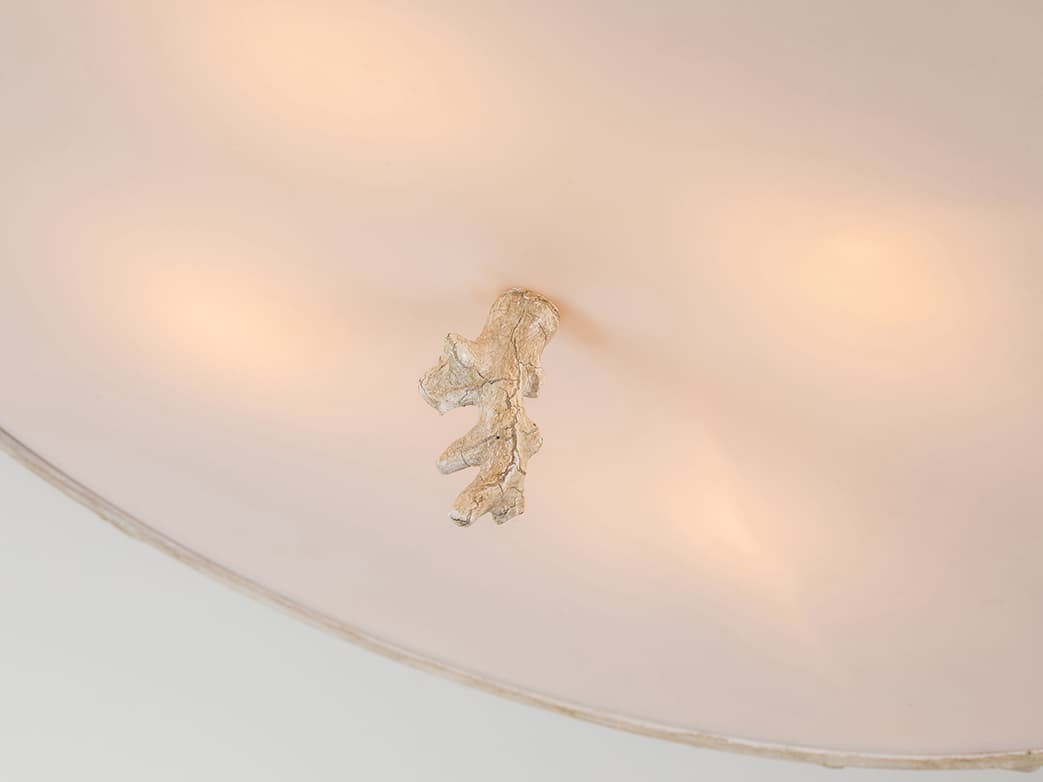 Lucas McKearn Trellis 4-Light Bone Brown Glass Round Flush Mount