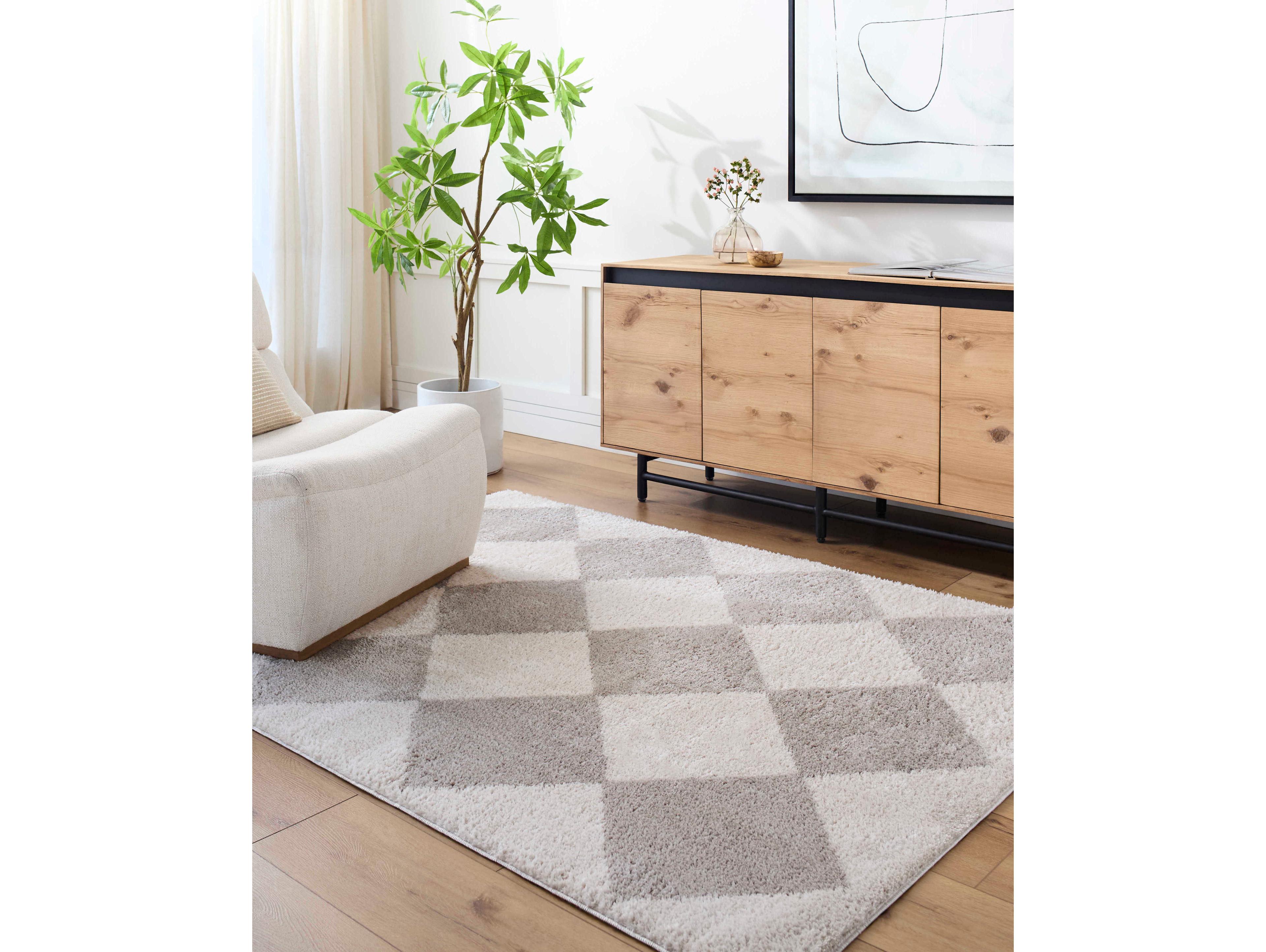 Livabliss by Surya Fossay Shag Geometric Area Rug