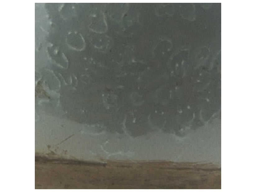 Livabliss by Surya Leclair Sage Sculpture