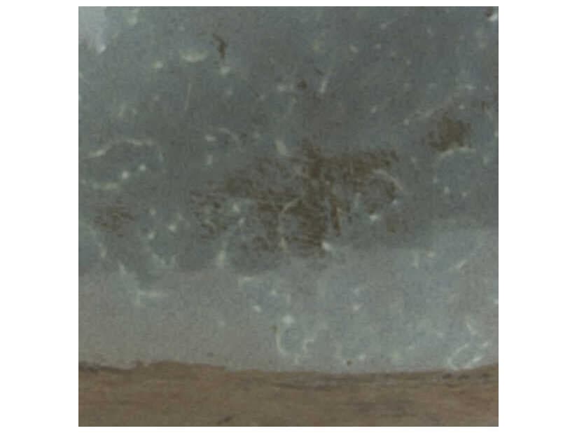 Livabliss by Surya Leclair Sage Sculpture