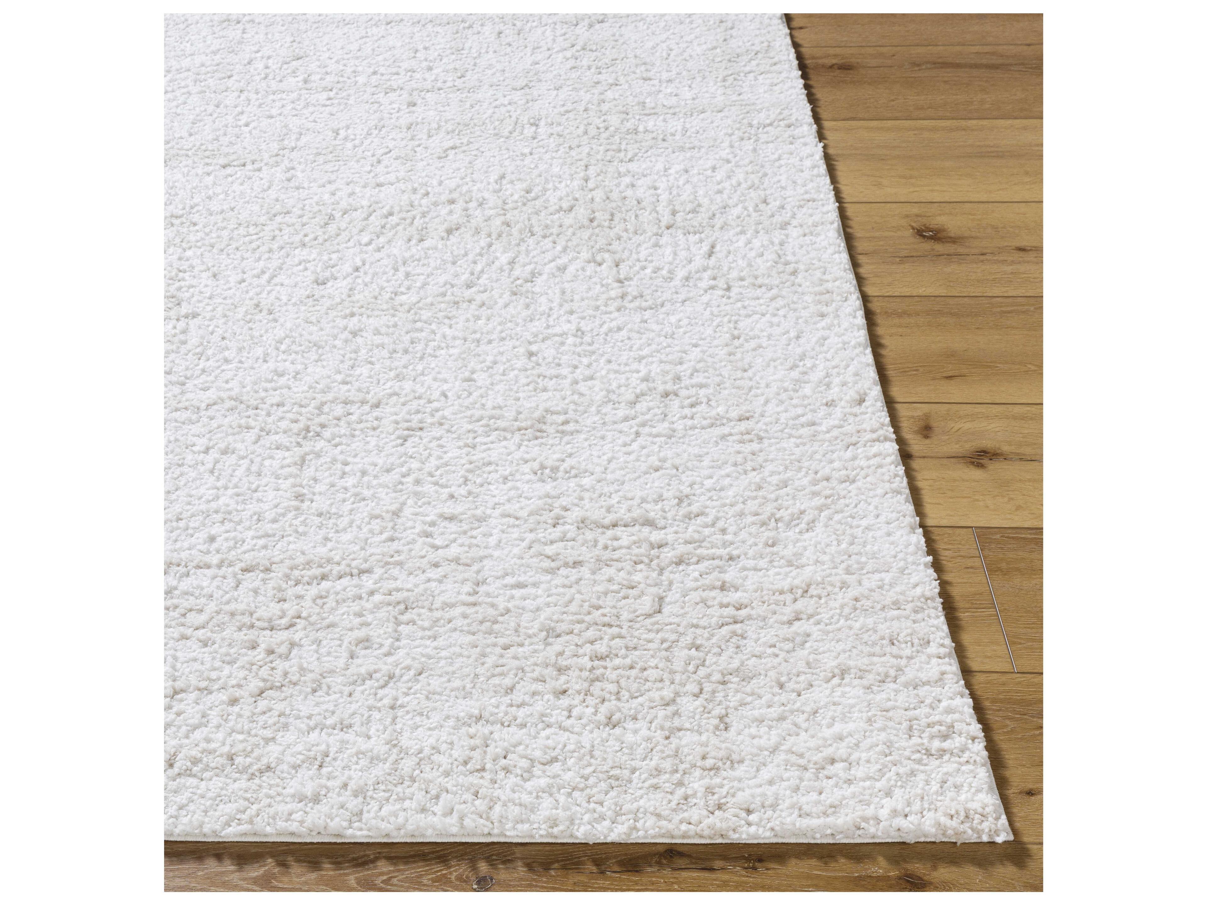 Livabliss by Surya Sacramento Shag Area Rug