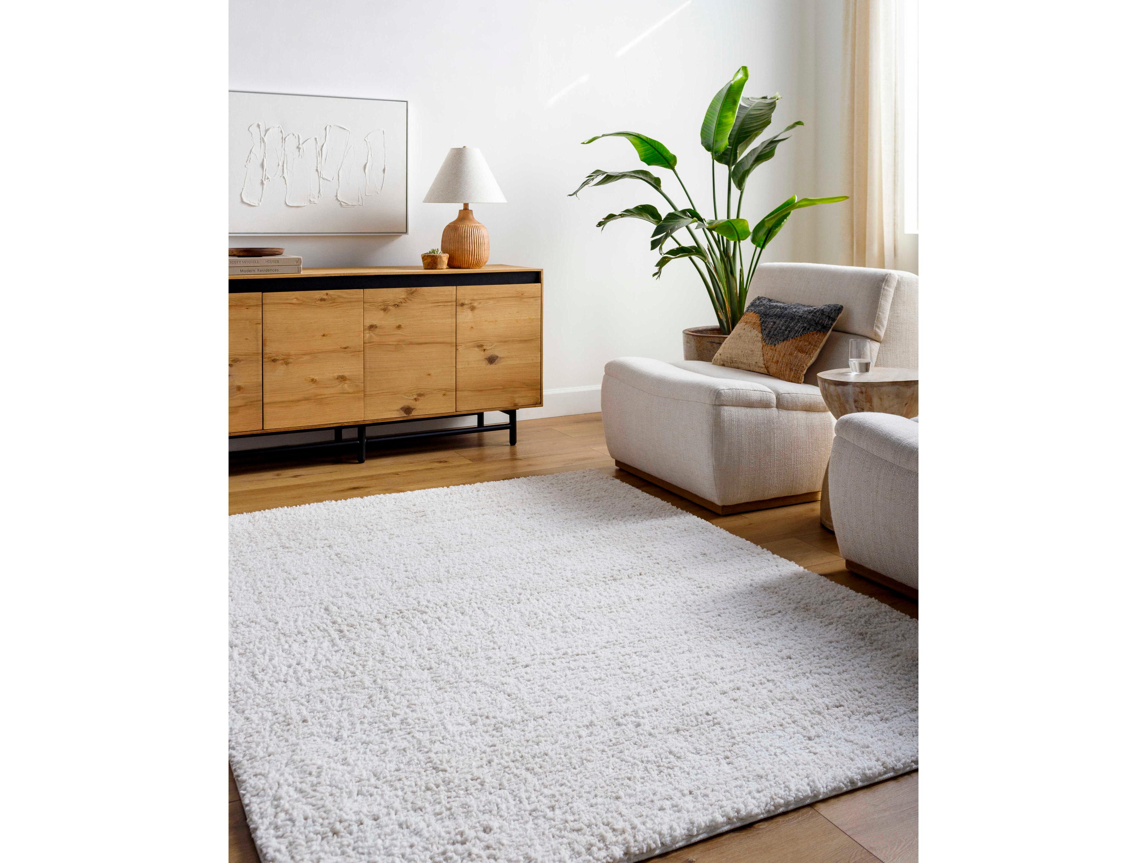 Livabliss by Surya Sacramento Shag Area Rug