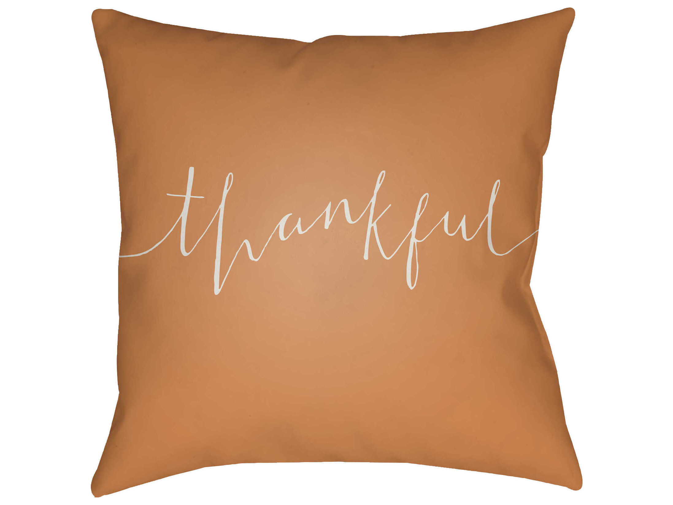 Livabliss by Surya Thankful Pillows