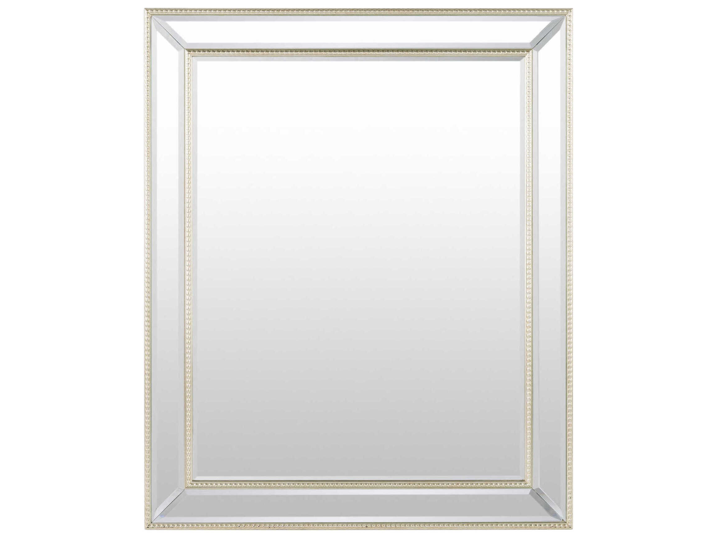 Livabliss by Surya Constantine Champagne Wall Mirror Rectangular