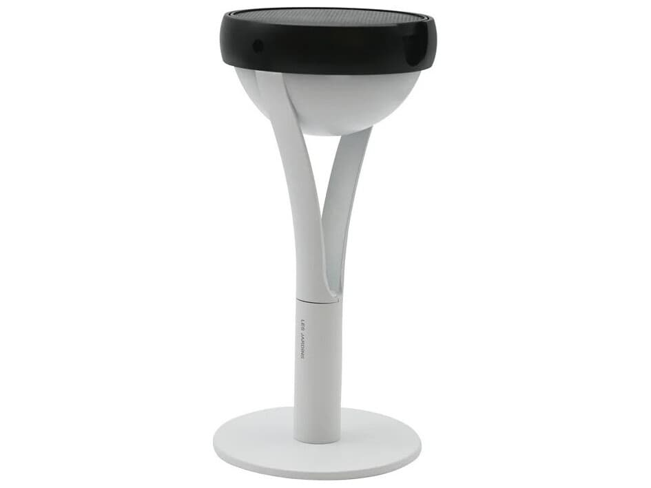 Les Jardins Tish 3-Light Outdoor Path Light