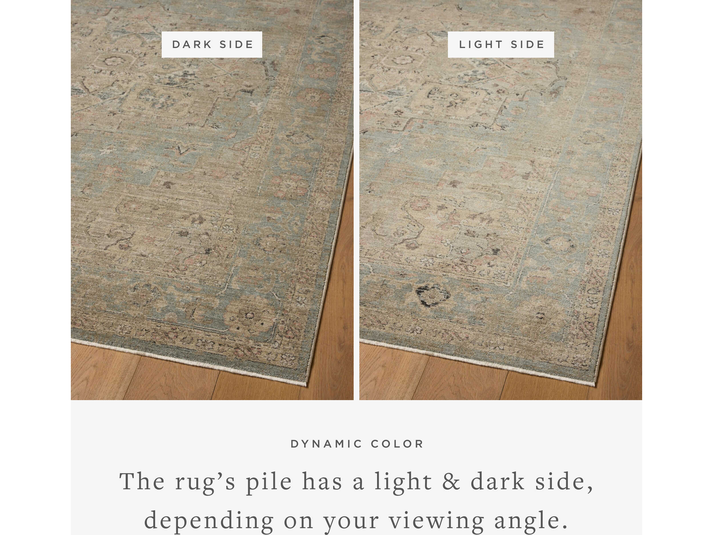 Loloi Rugs Briar Oriental Runner Area Rug