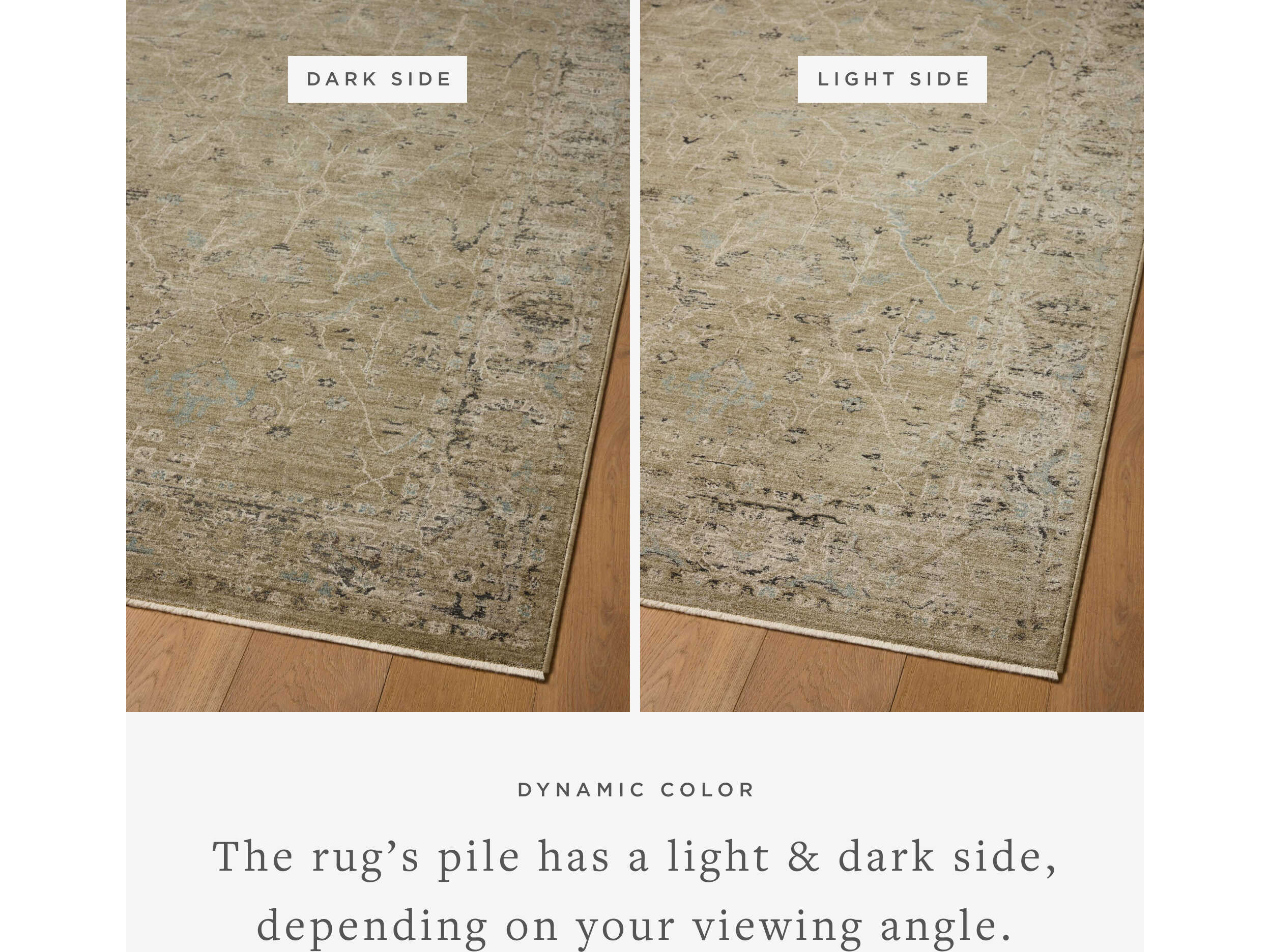 Loloi Rugs Briar Oriental Runner Area Rug