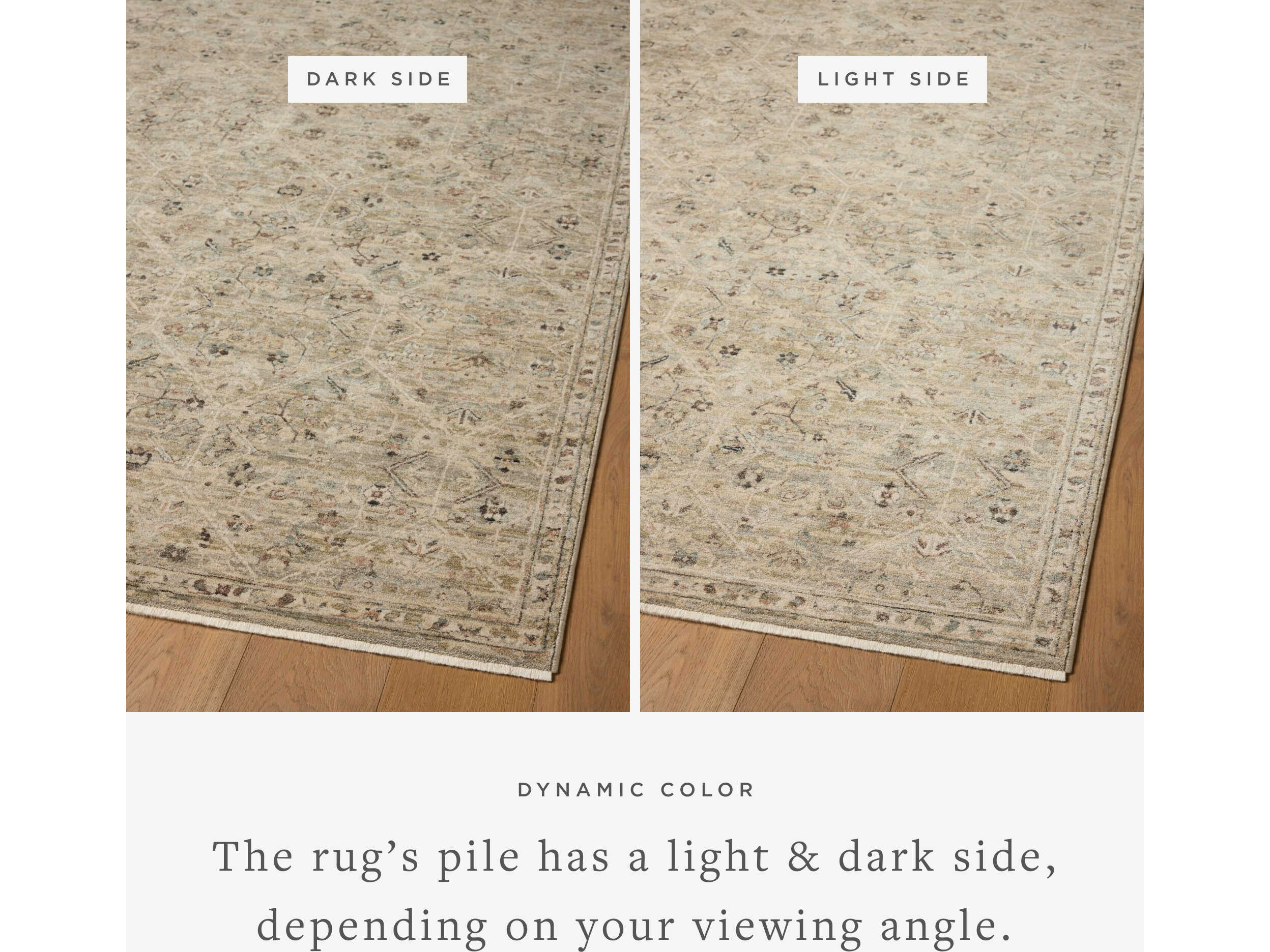 Loloi Rugs Briar Oriental Runner Area Rug