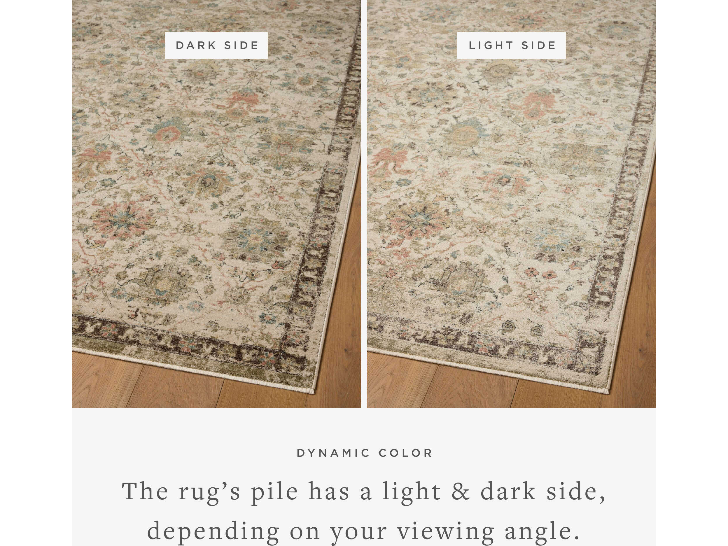 Loloi Rugs Briar Oriental Area Rug
