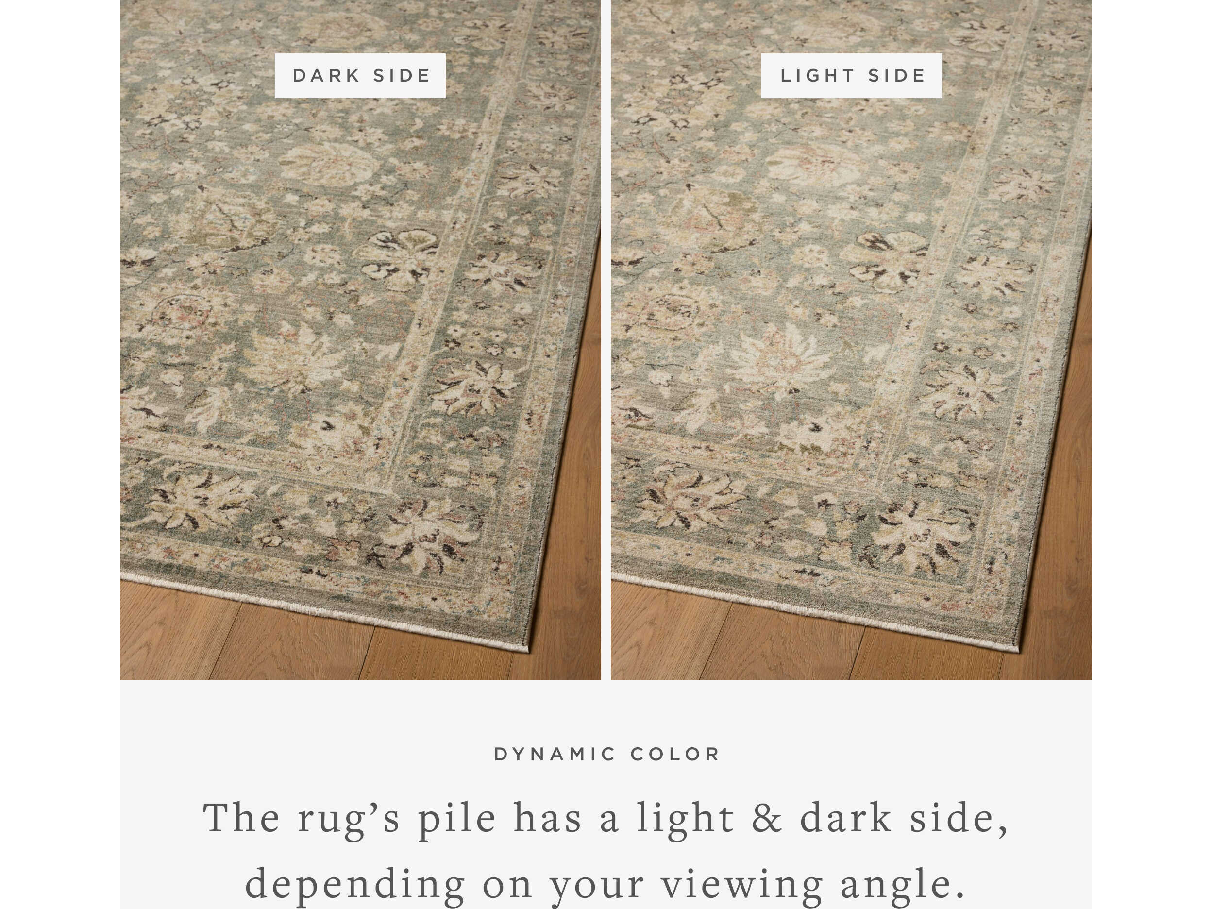 Loloi Rugs Briar Oriental Area Rug