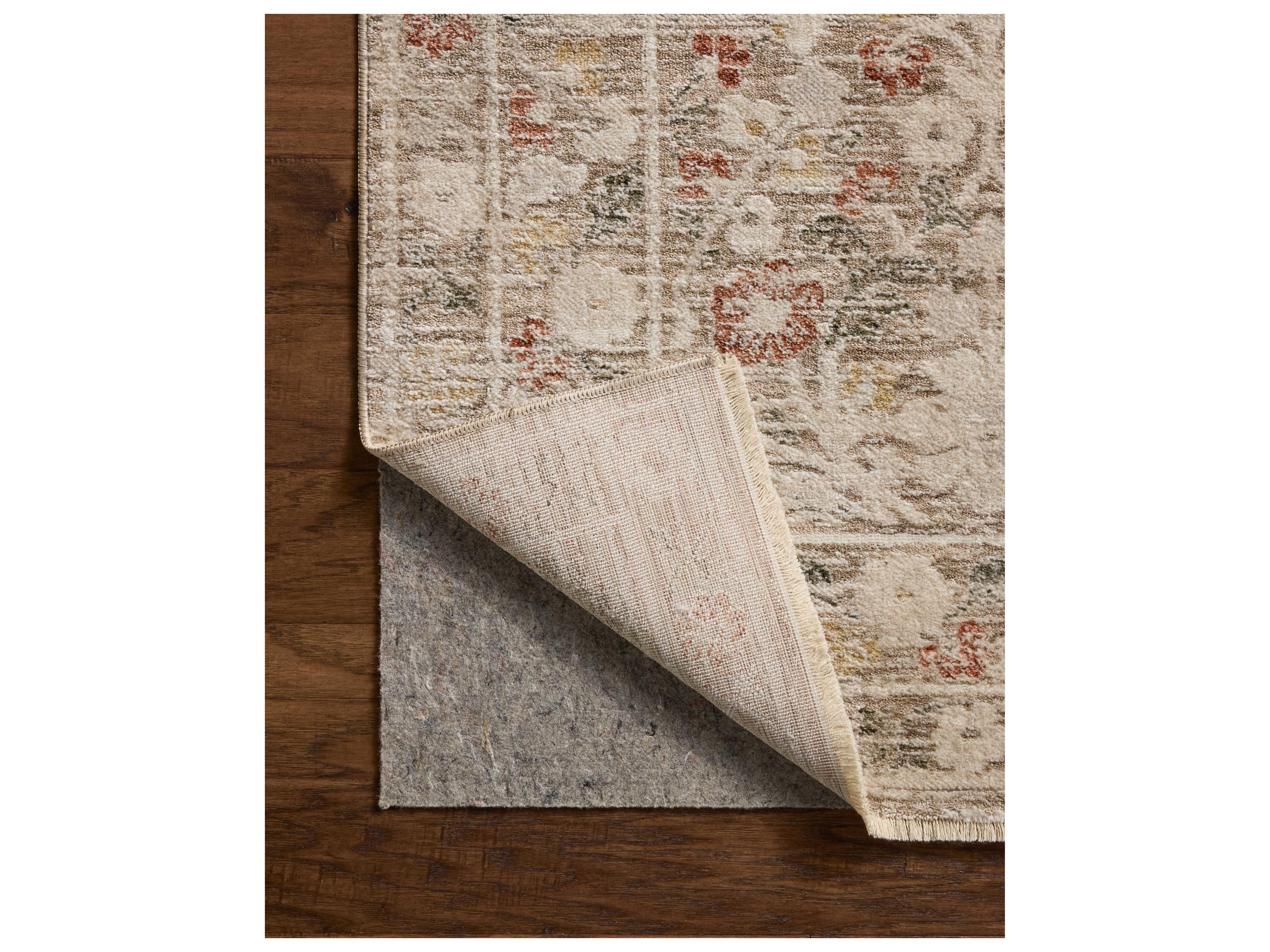 Loloi Rugs Clarisse Bordered Area Rug
