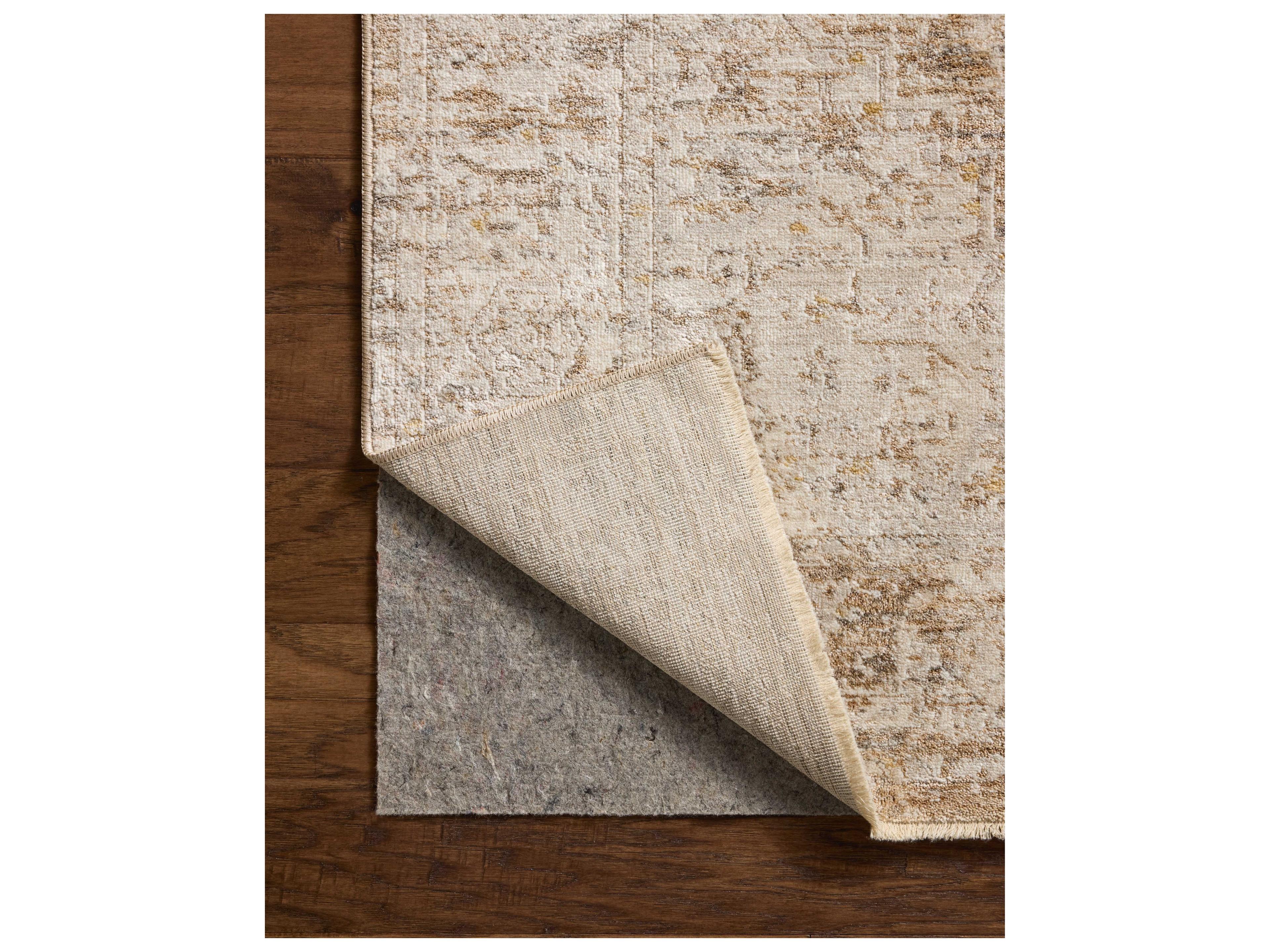 Loloi Rugs Clarisse Bordered Area Rug