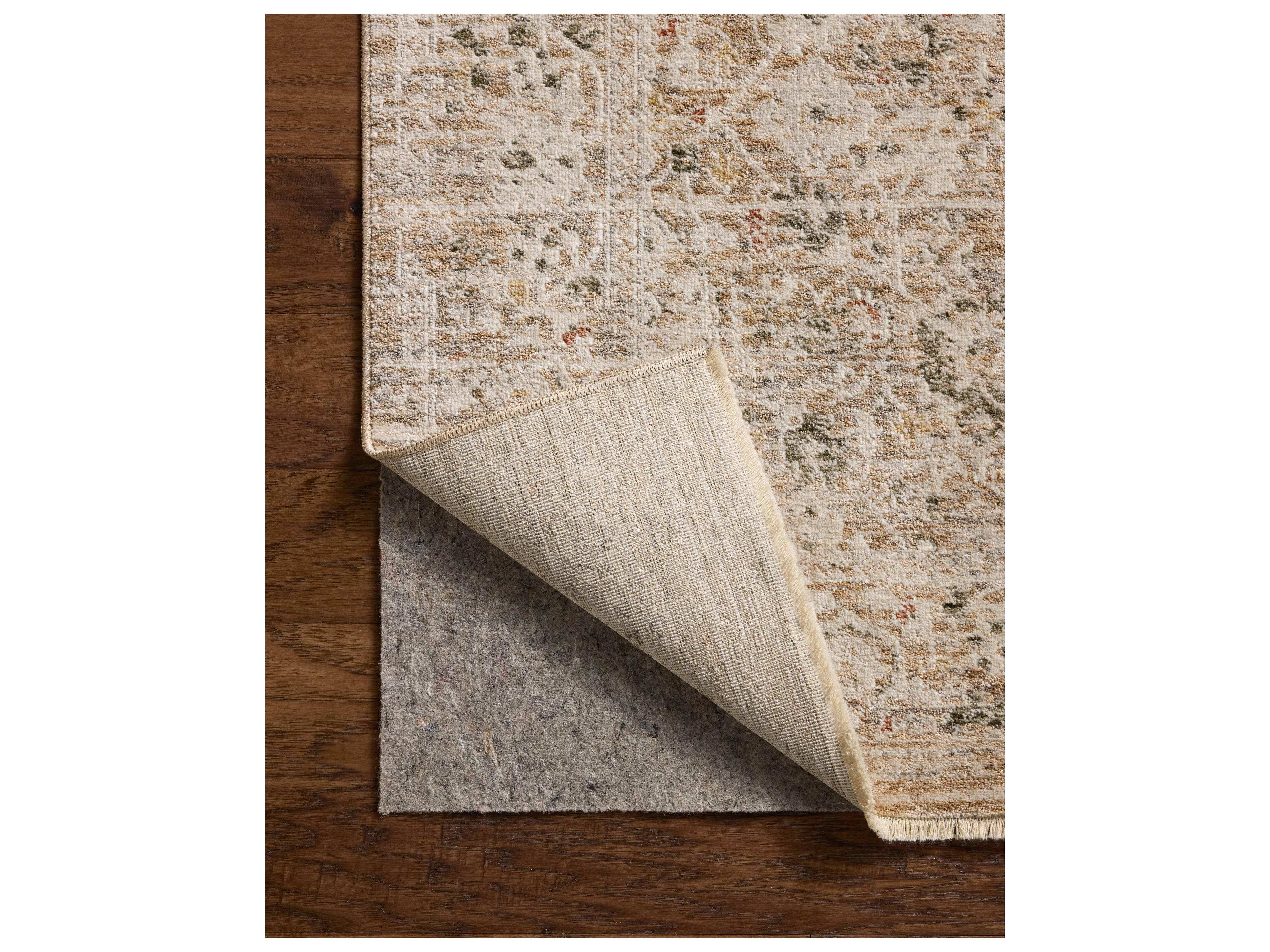 Loloi Rugs Clarisse Bordered Area Rug