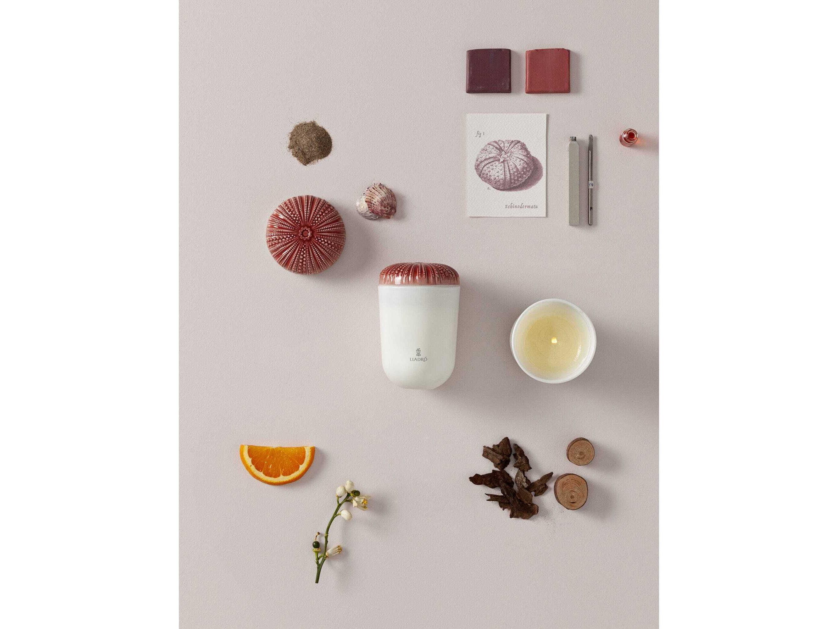 Lladro Echoes of Nature Mediterranean Beach Candle