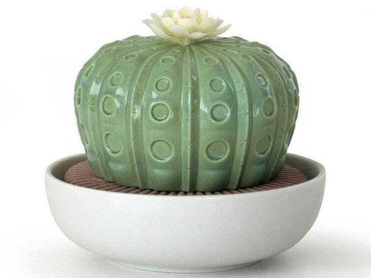 Lladro Astrophytum Cactus Diffuser