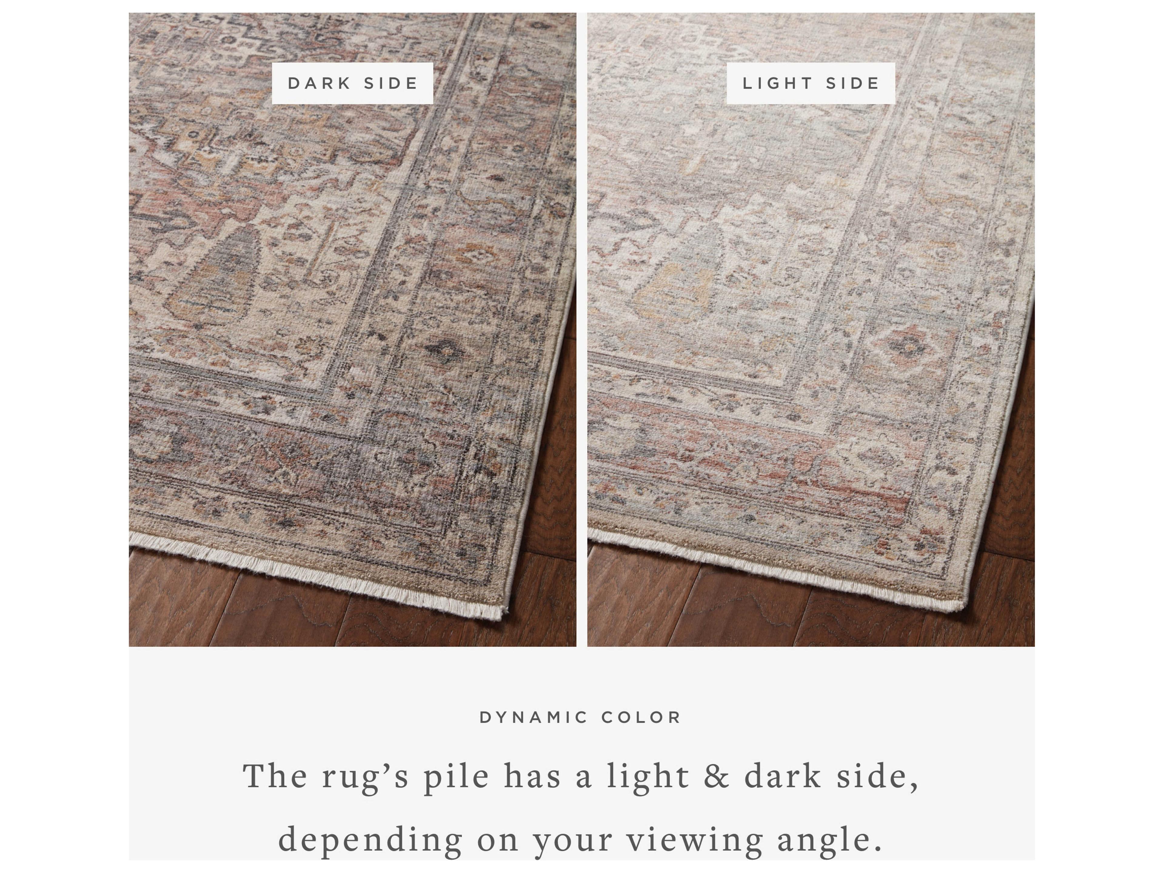 Loloi Rugs Lyra Bordered Area Rug