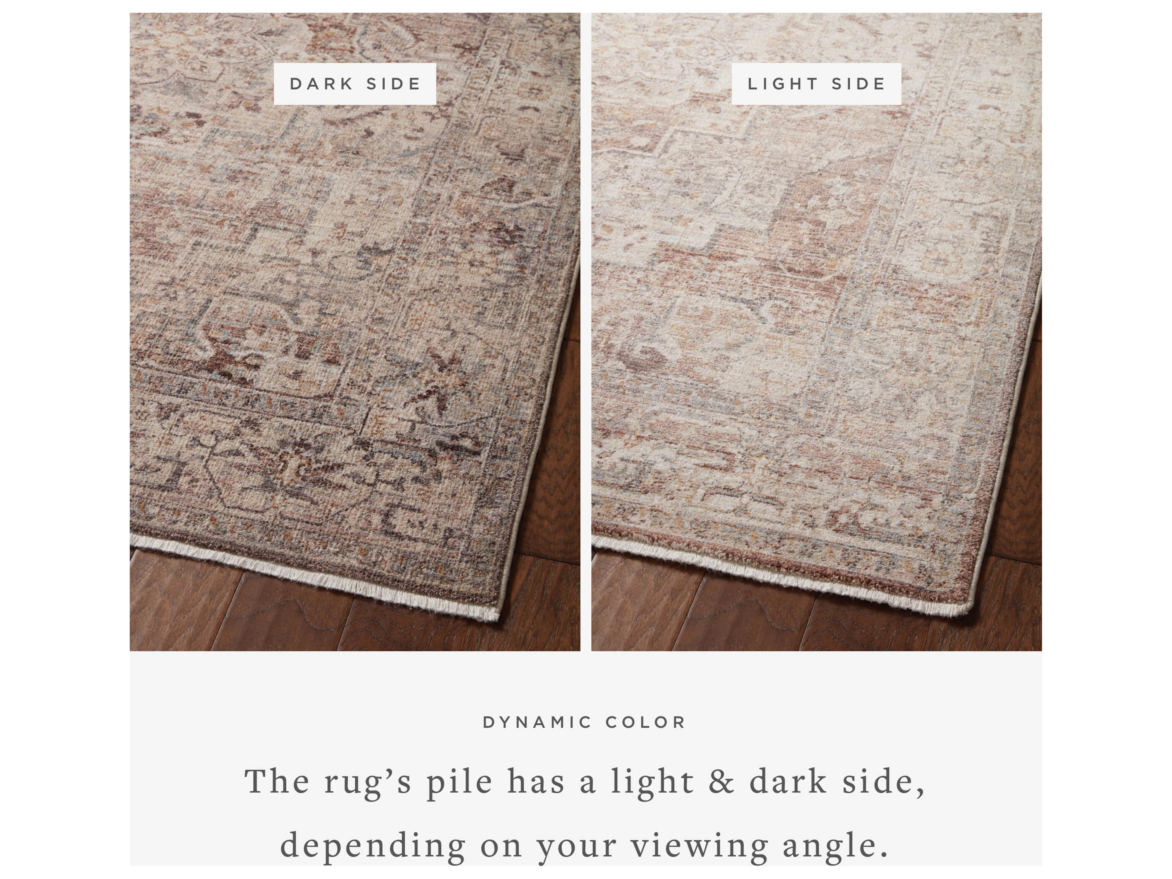 Loloi Rugs Lyra Bordered Area Rug