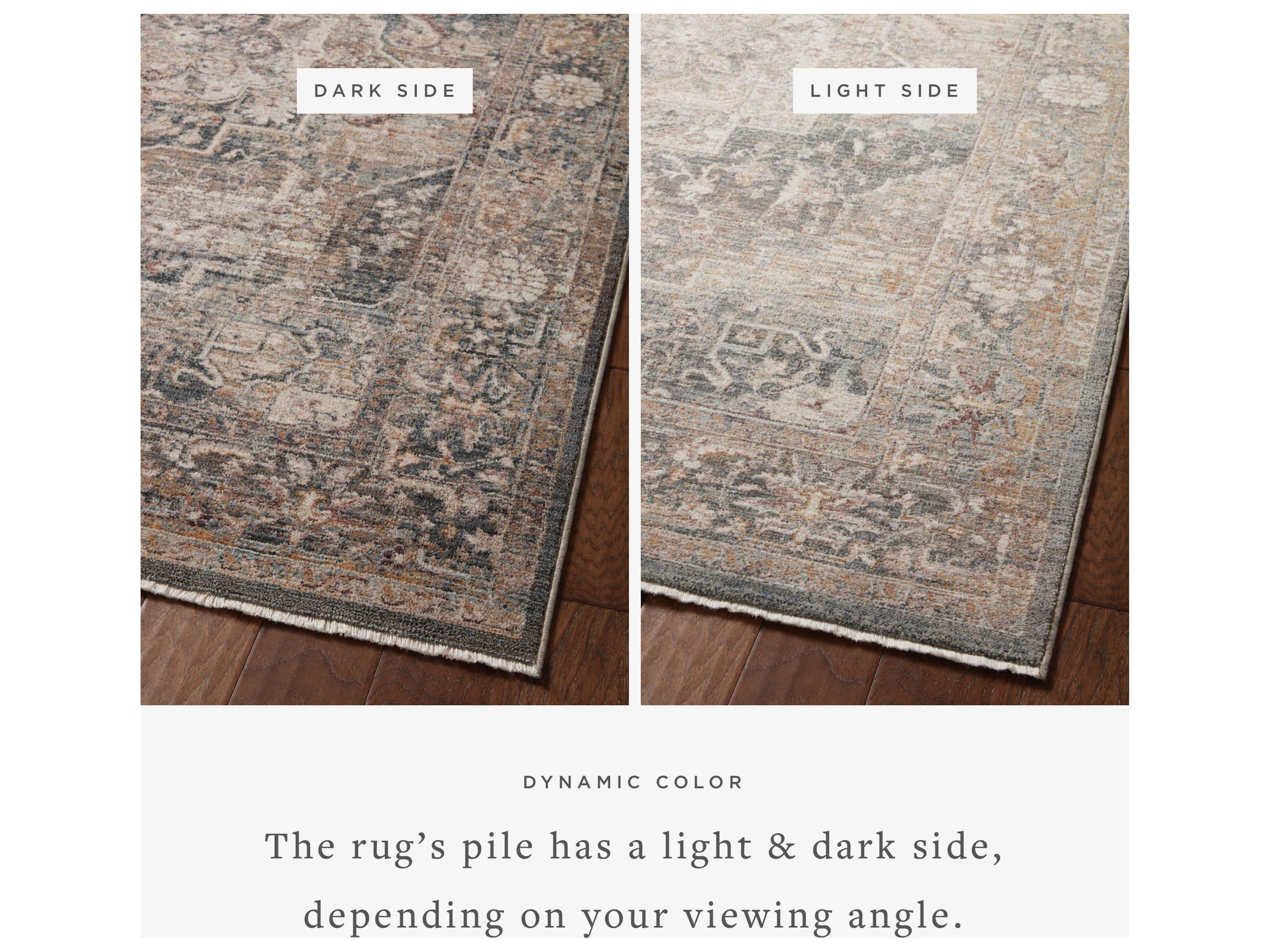 Loloi Rugs Lyra Bordered Area Rug