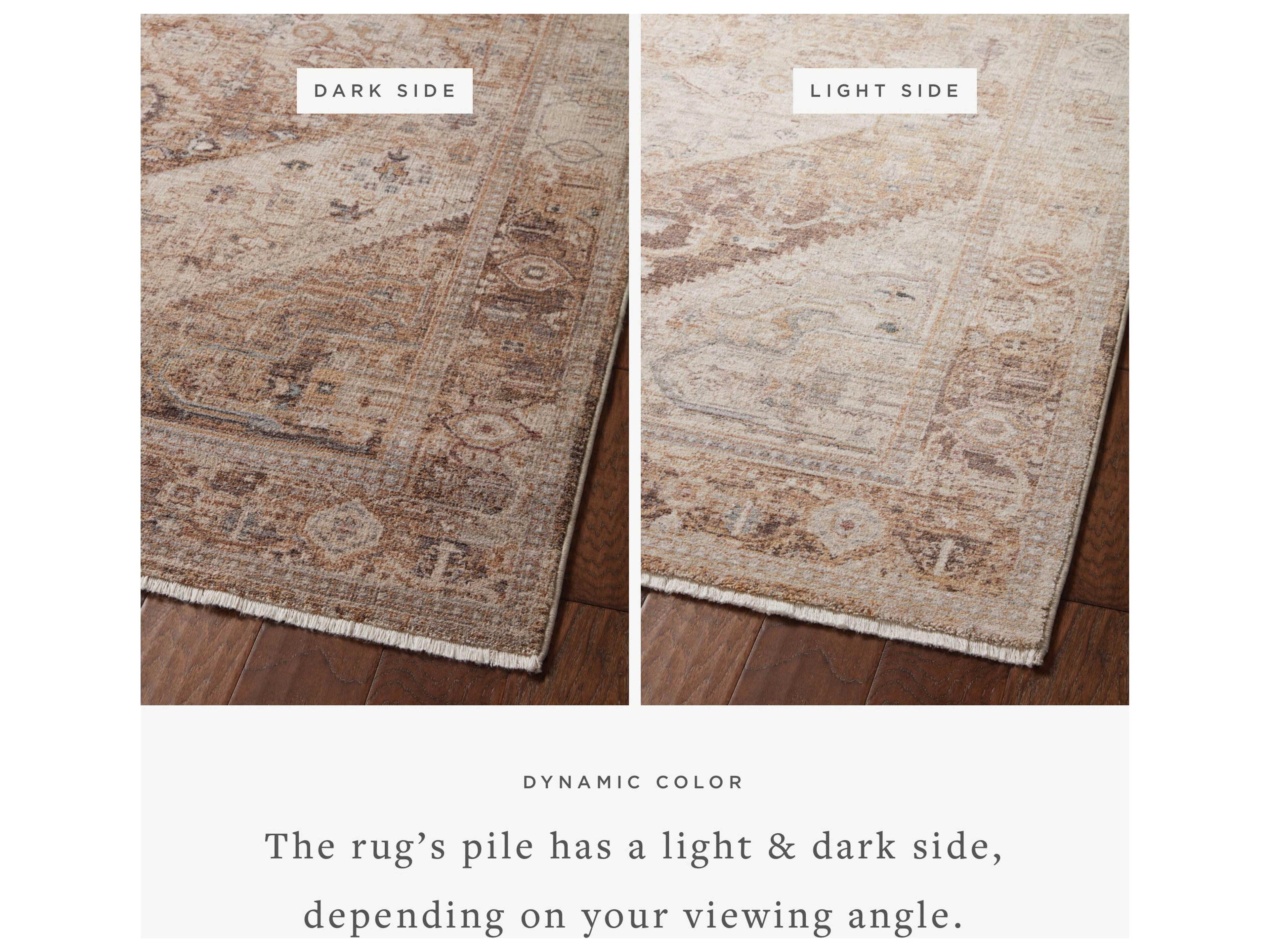 Loloi Rugs Lyra Bordered Area Rug