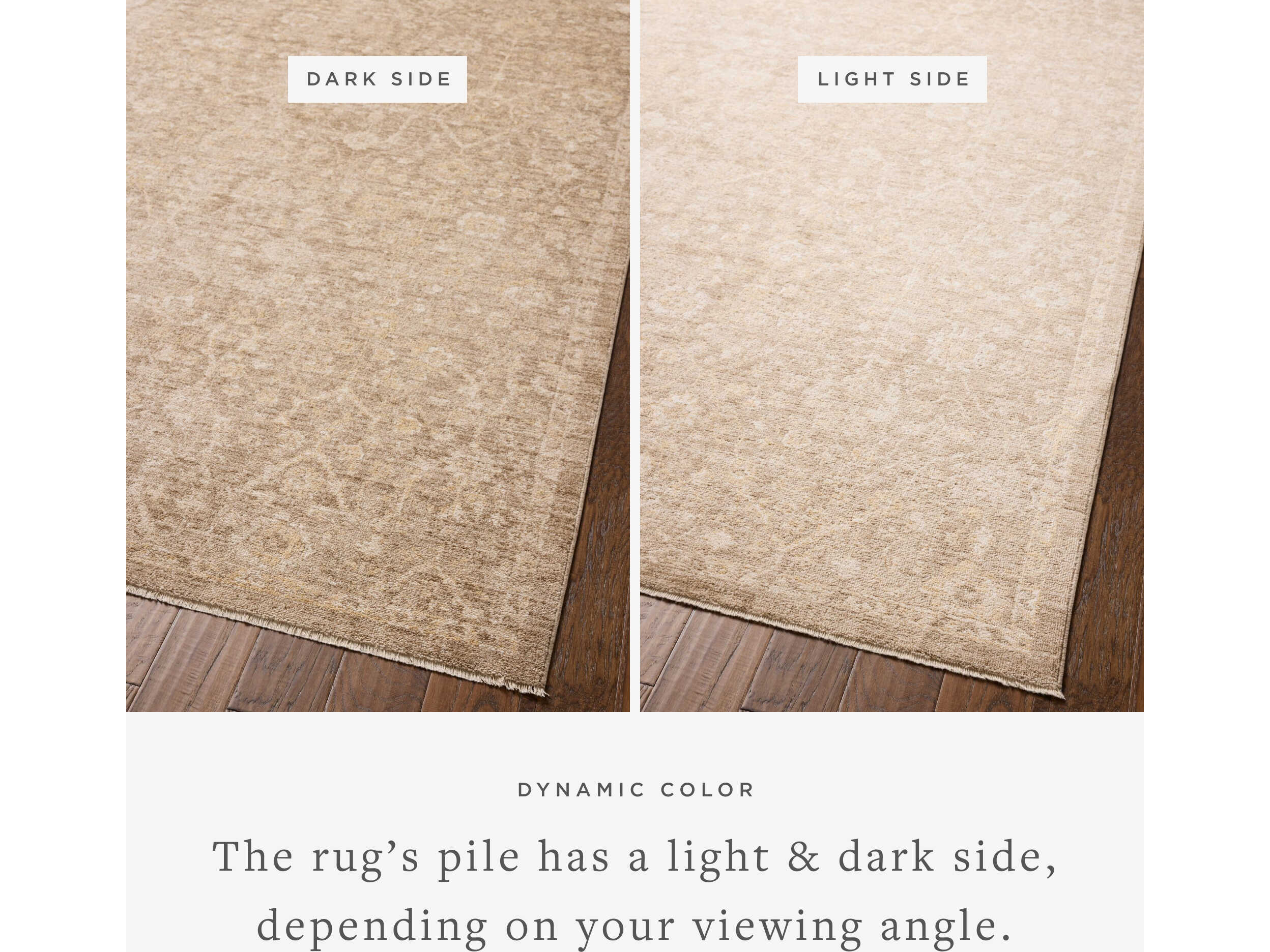 Loloi Rugs Chris Loves Julia Oriental Runner Area Rug